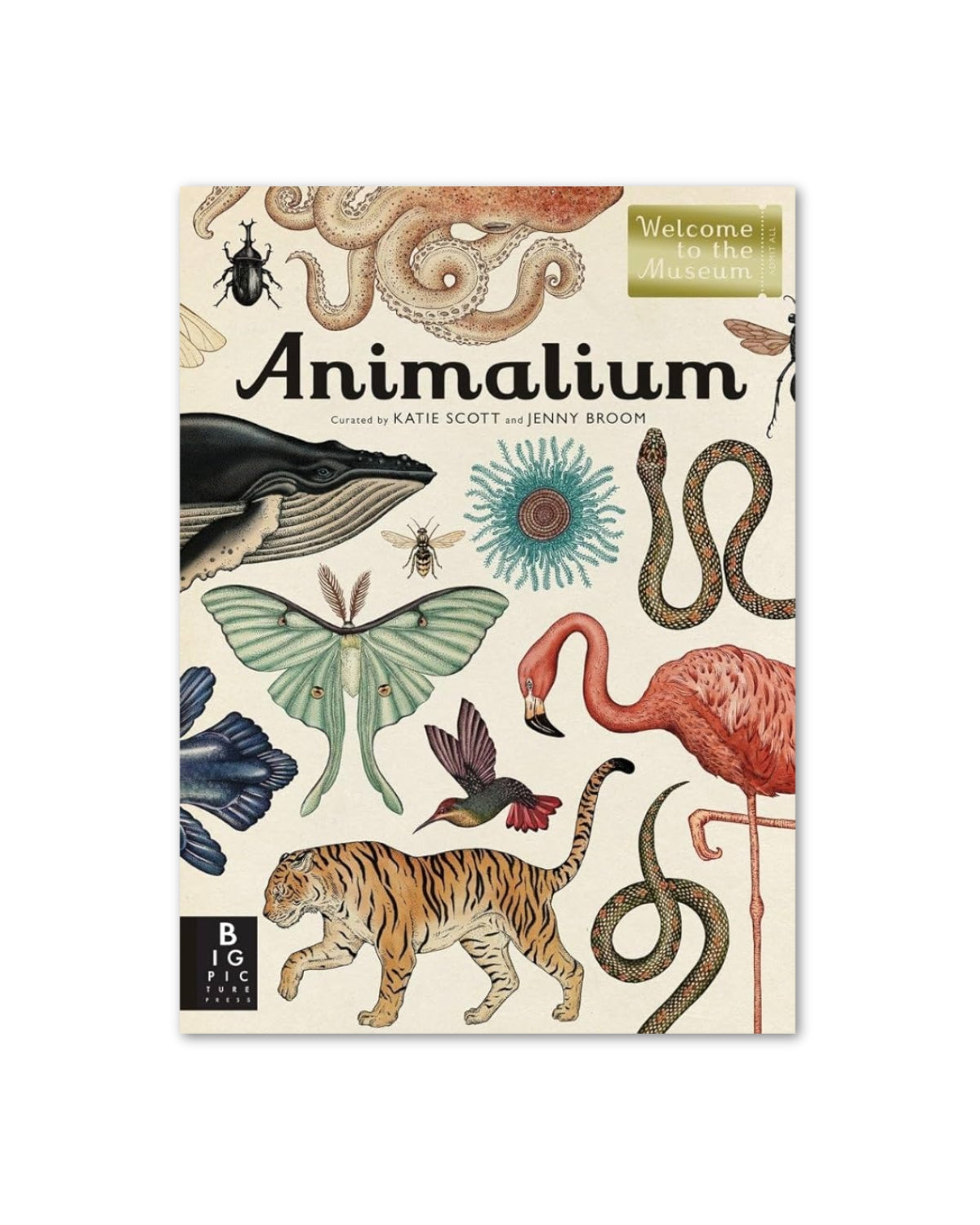 Animalium: Welcome to the Museum
