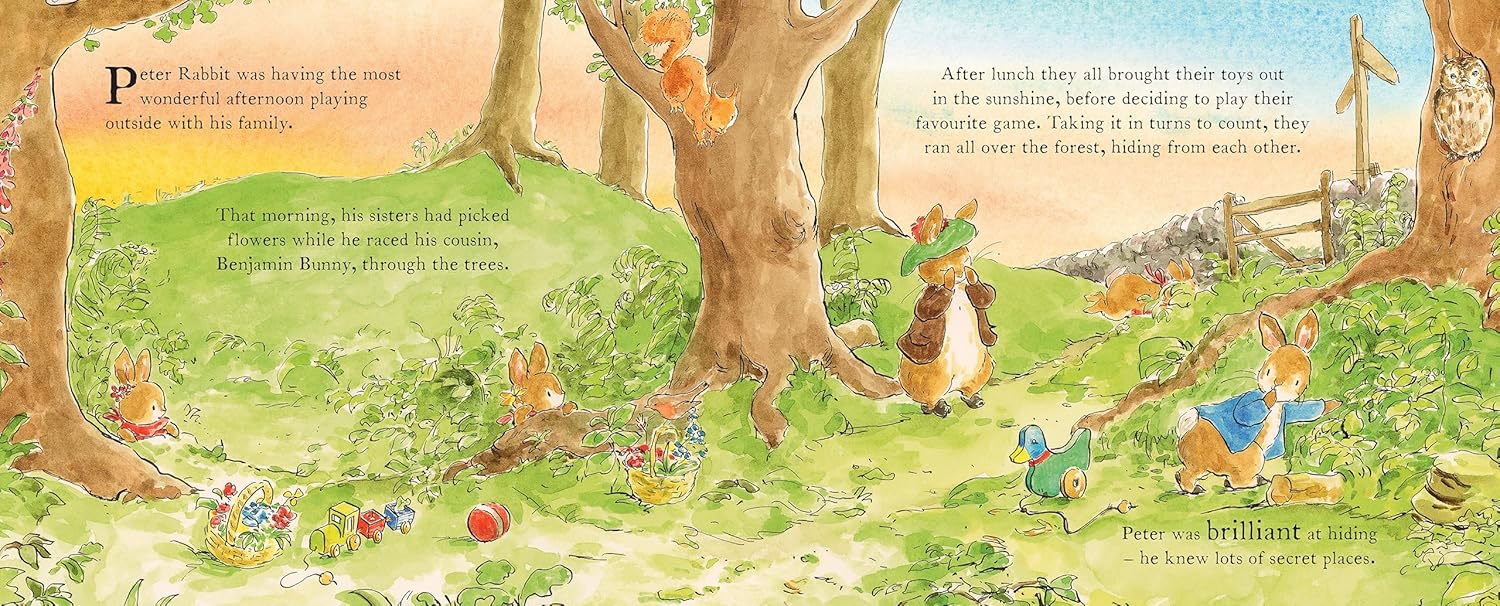 Peter Rabbit The Bedtime Bunny Hunt