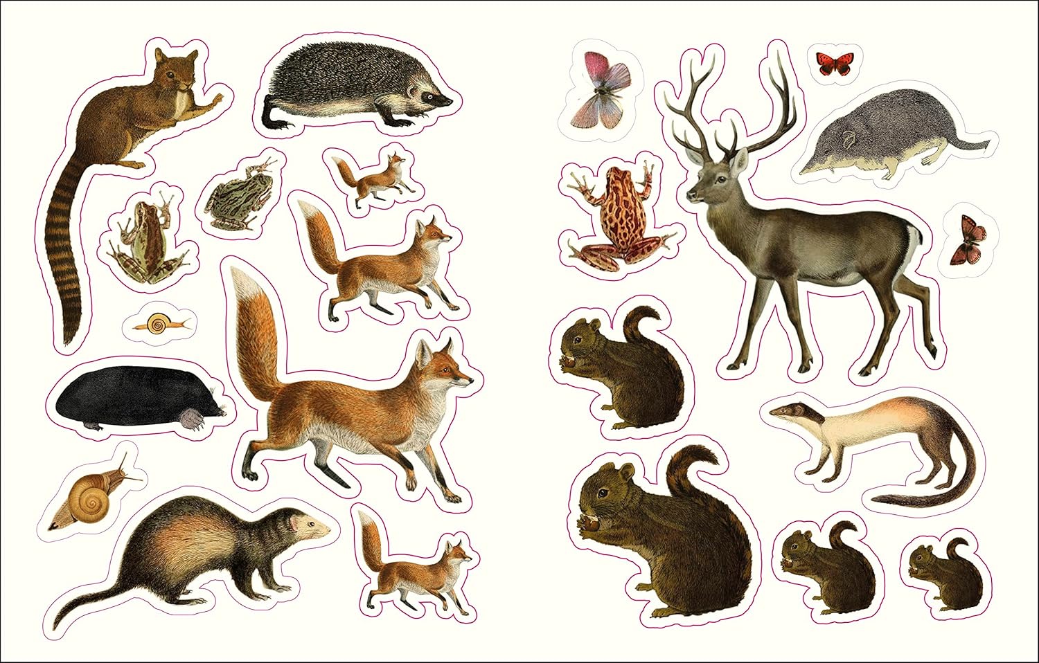 Forest Fairies Fungi Sticker Anthology