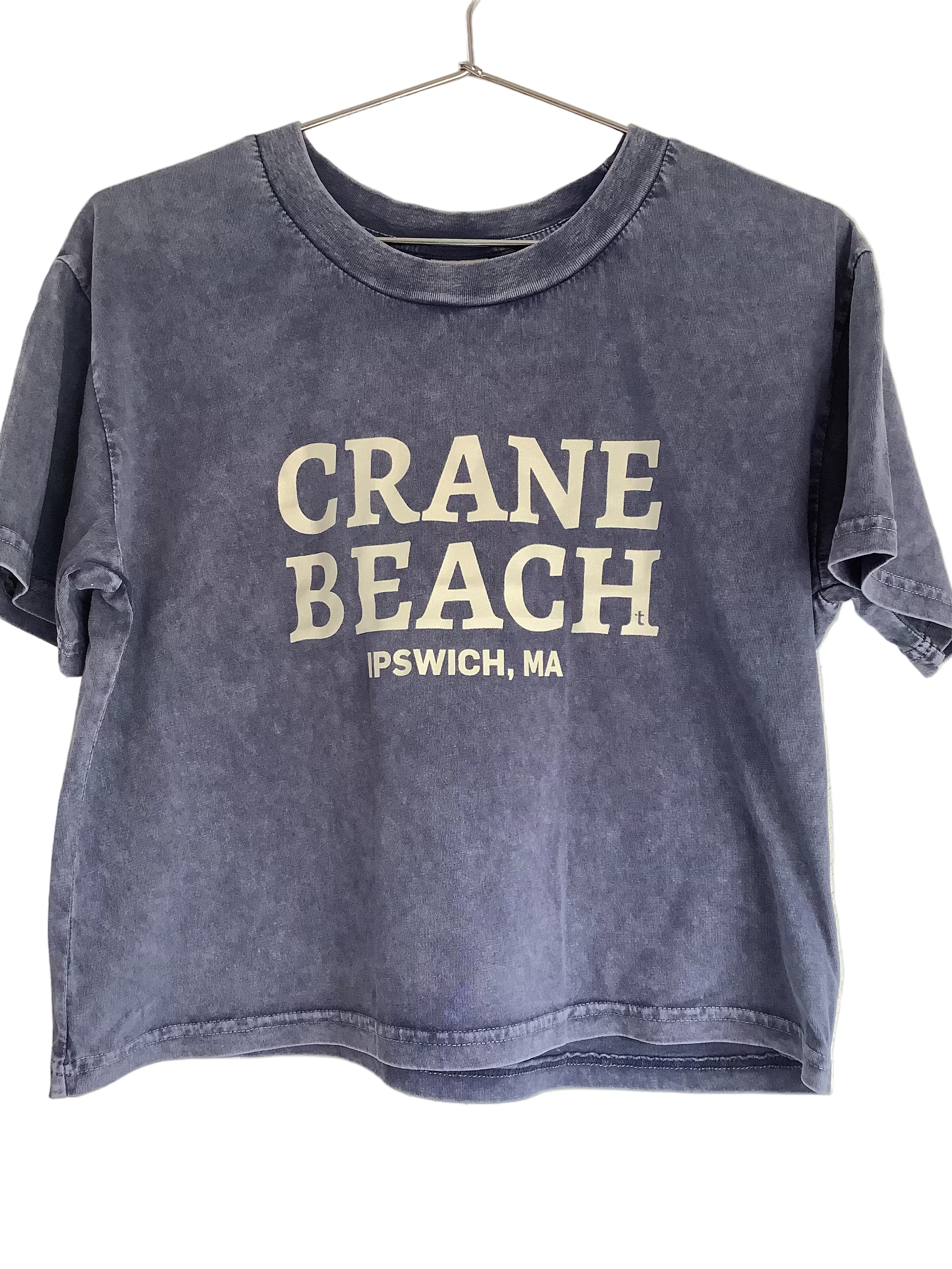 Chicka-d Crane Beach Cropped T-shirt