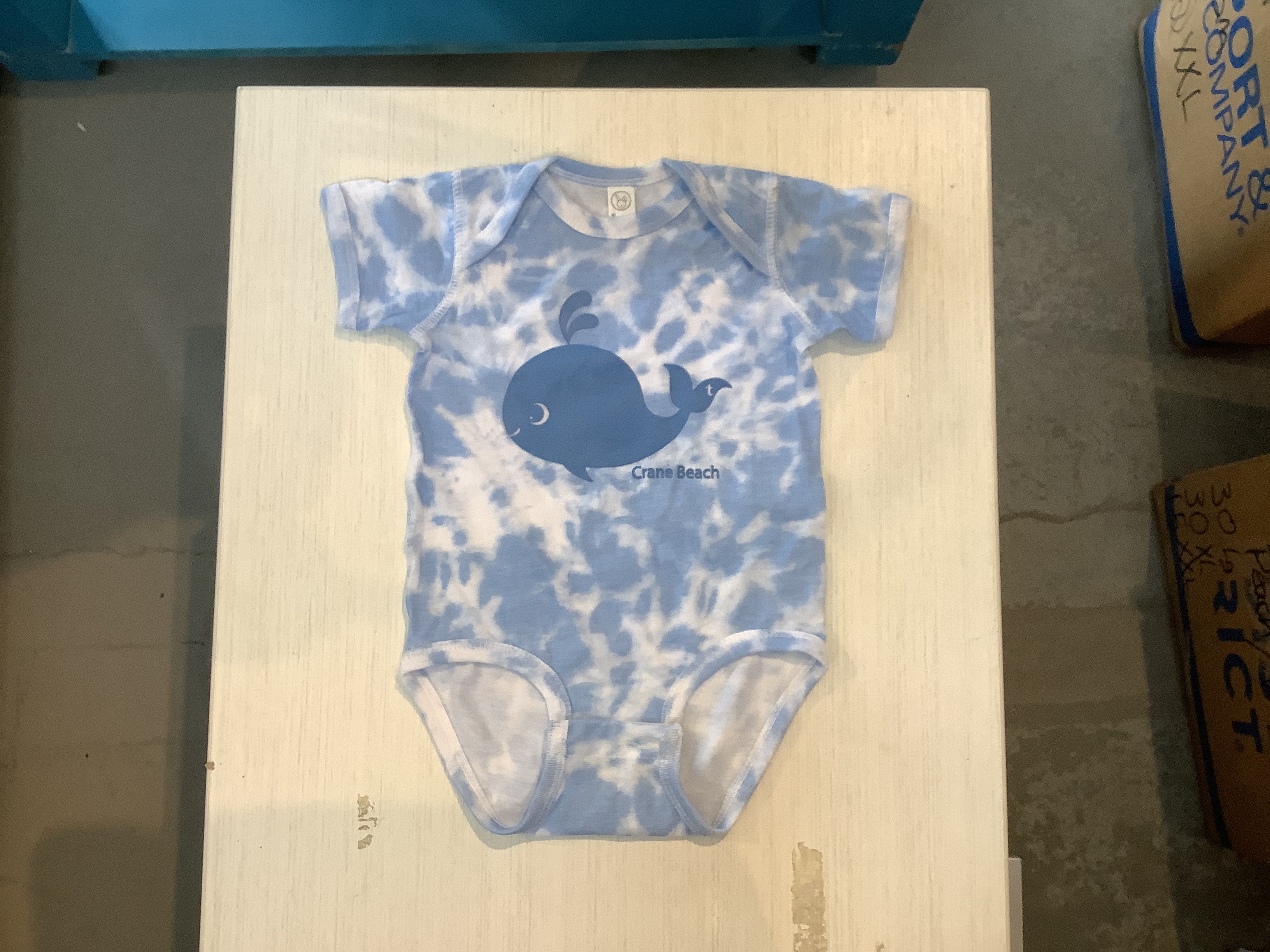 Crane Beach Onesie
