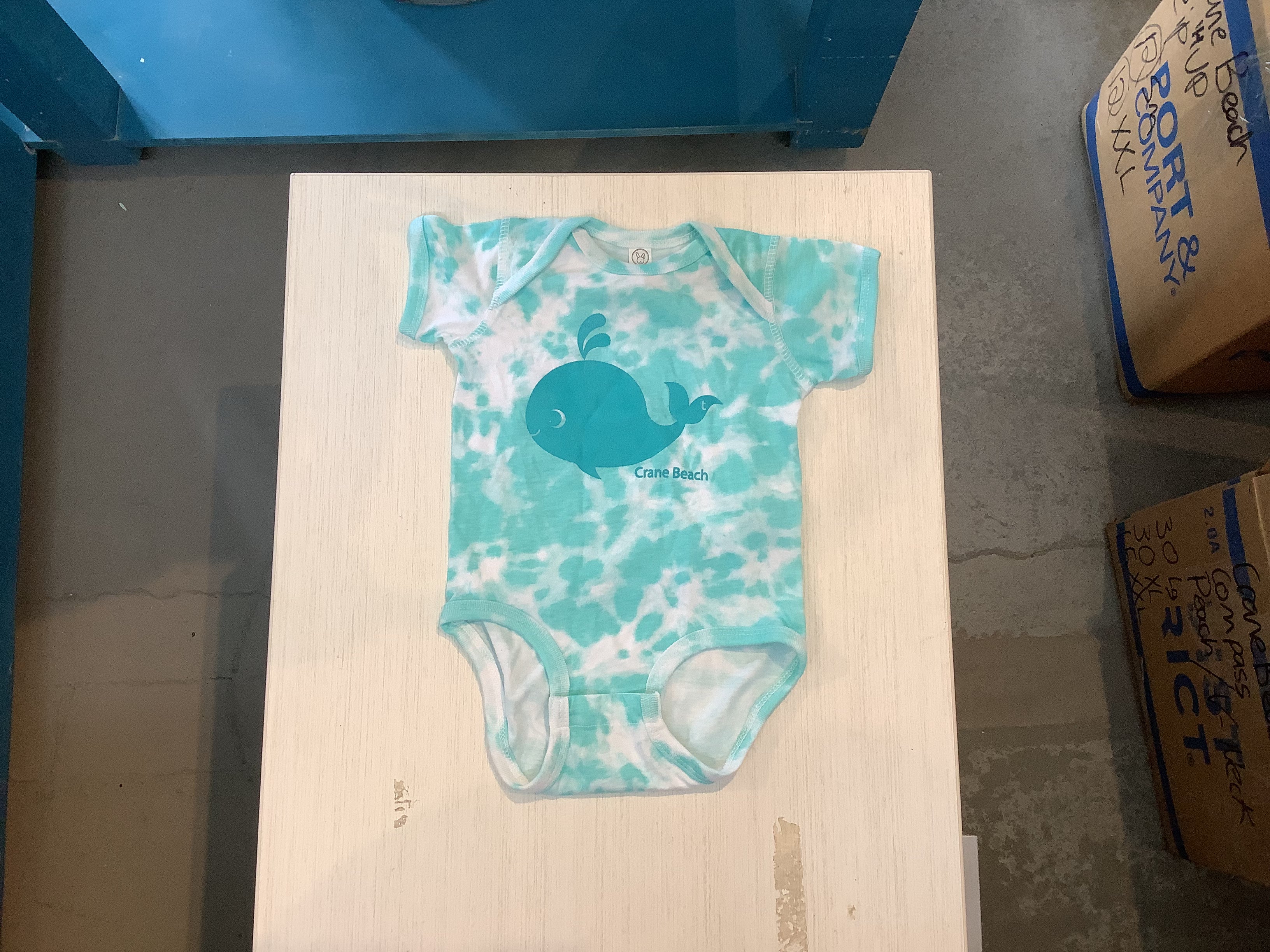 Crane Beach Onesie