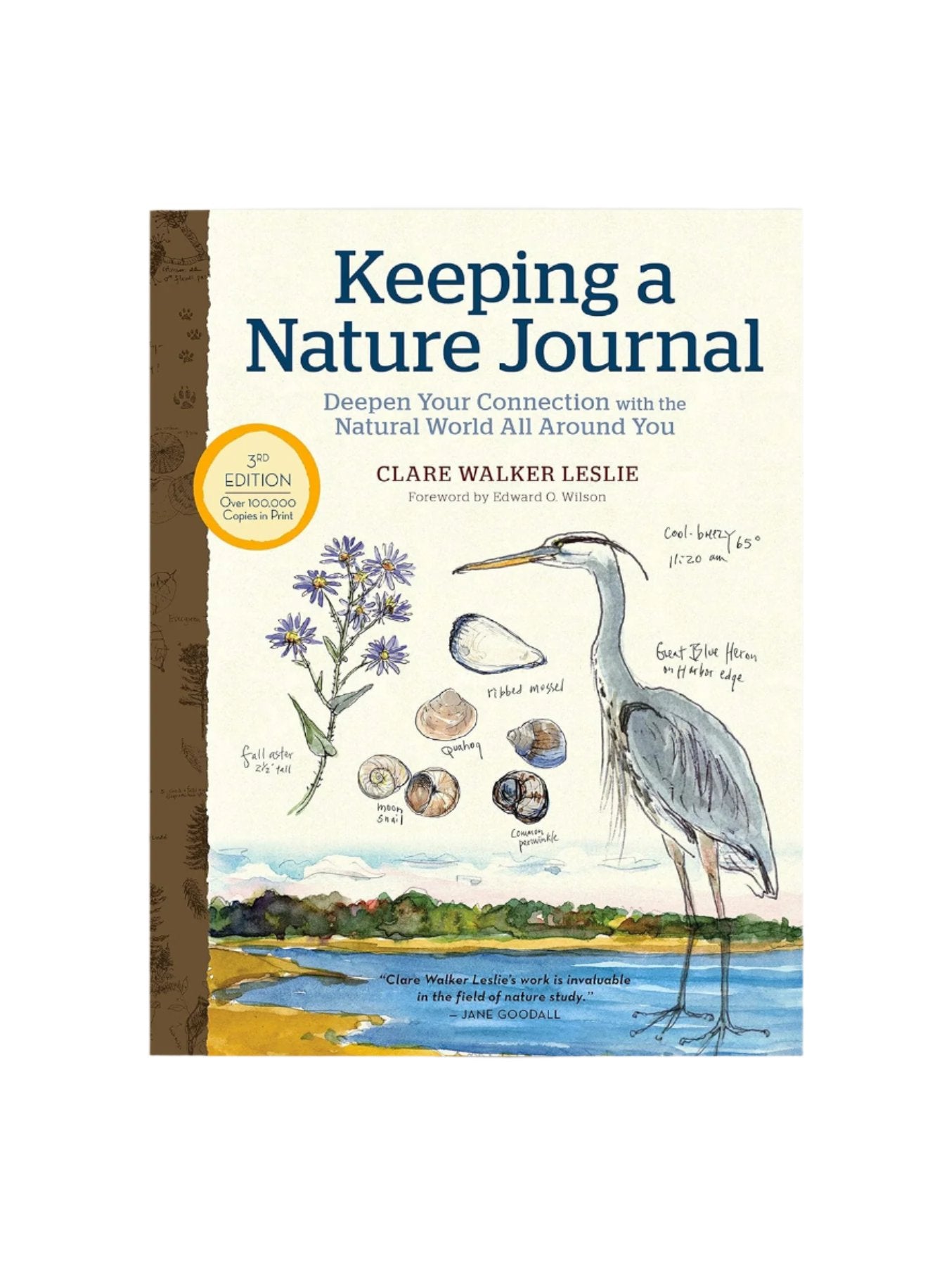 Keeping a Nature Journal