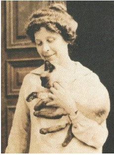 Ptolemy, Mrs. Crane's Siamese Cat, Plush Toy