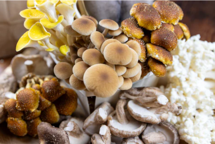 Fresh, Organic Fat Moon Farm Mushrooms