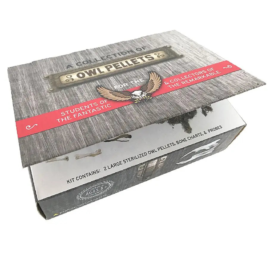 Owl Pellets Dissection Kit