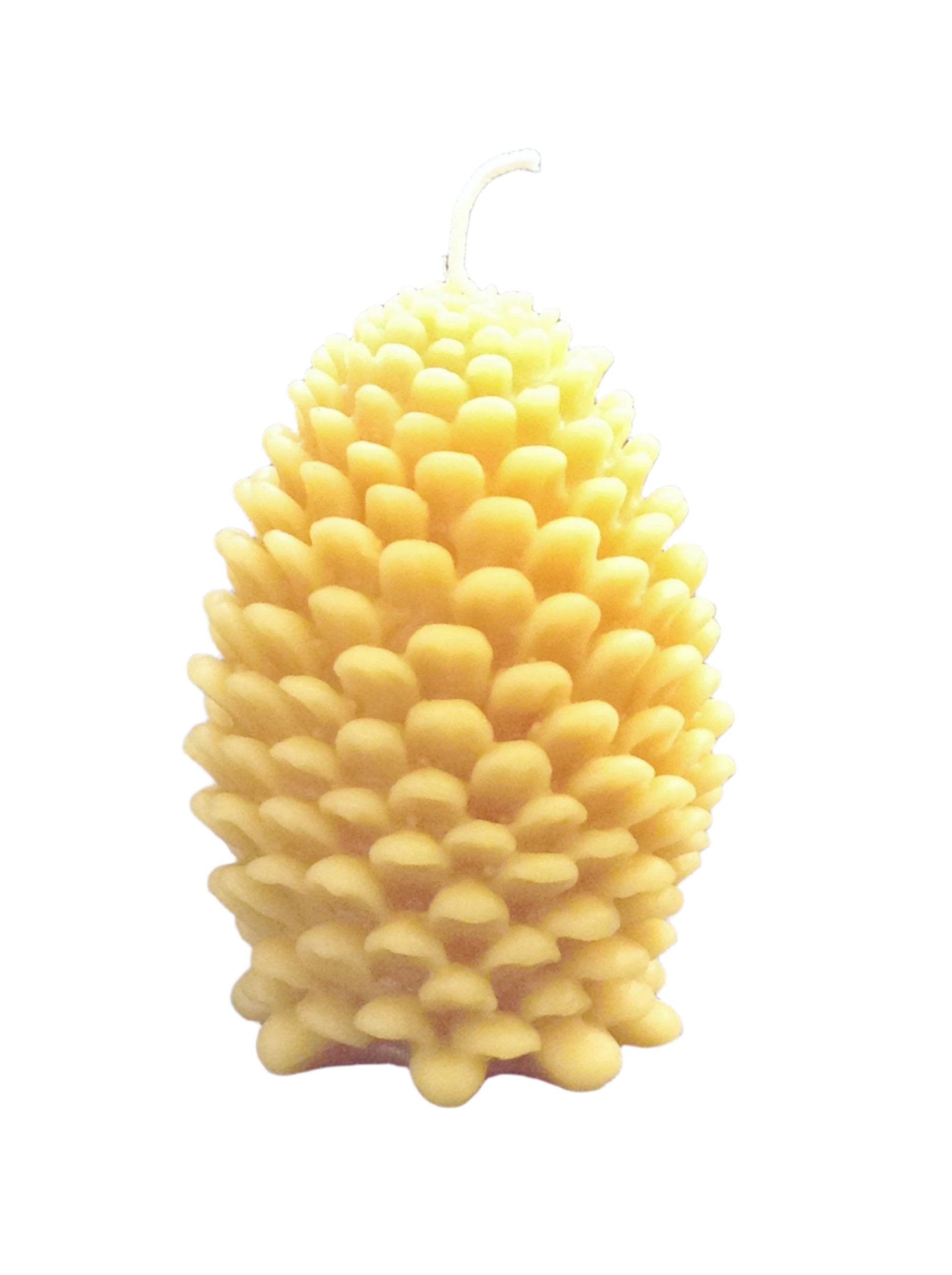 Pine Cone Handmade Beeswax Candles