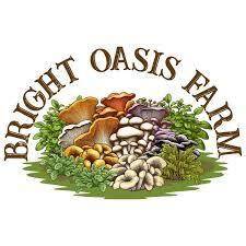 Bright Oasis Farm Produce