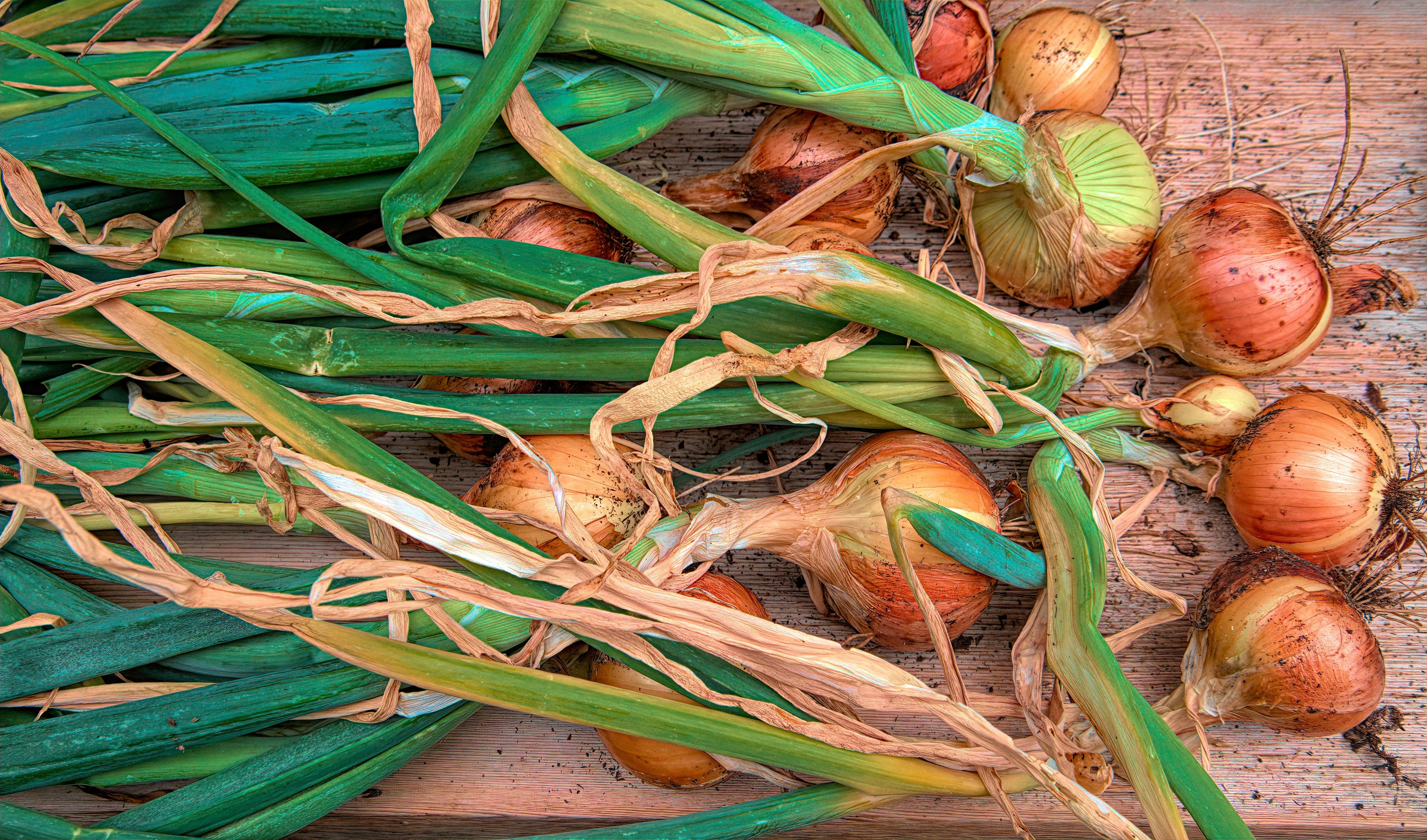 Herbs & Onions