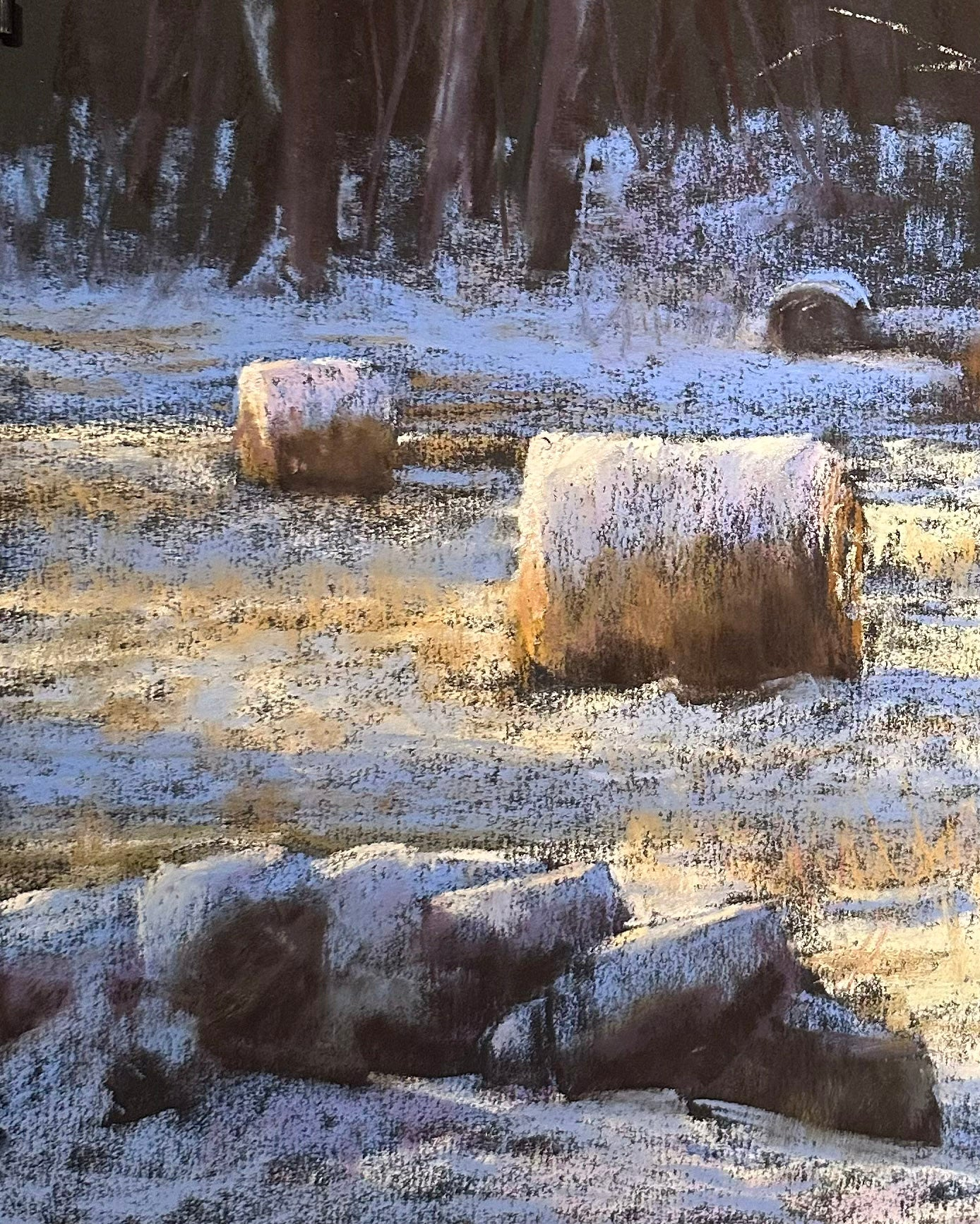 Fields of White and Gold, Fine Art Giclee Print