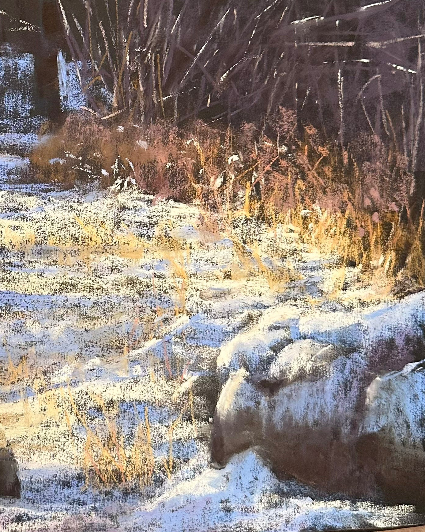 Fields of White and Gold, Fine Art Giclee Print