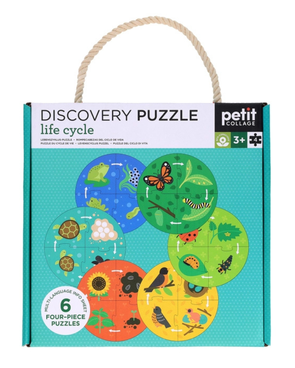 Discovery Puzzle: Life Cycle