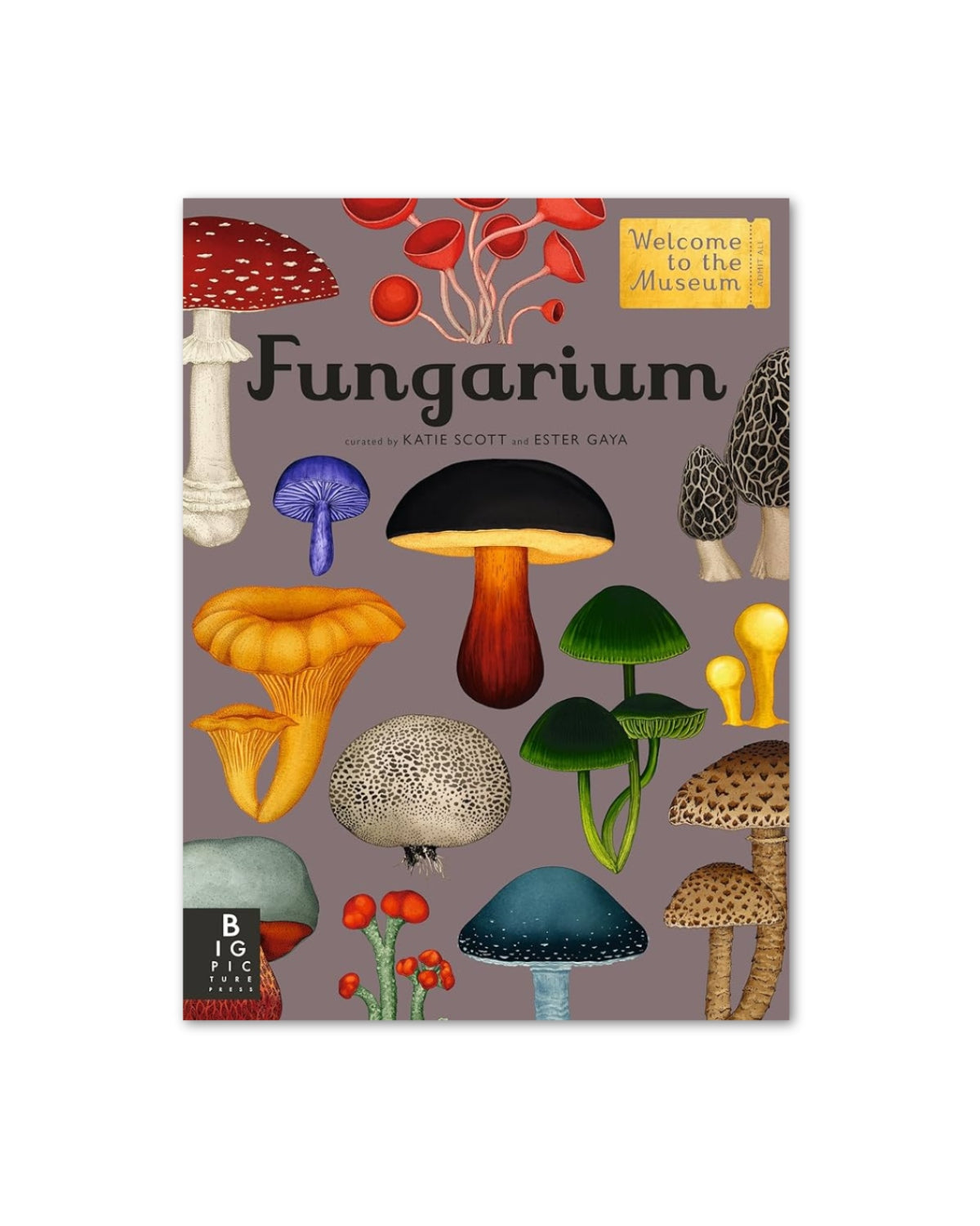 Fungarium: Welcome to the Museum