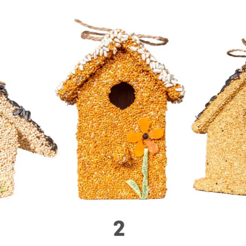 Spring Fruit Cottage Birdhouses