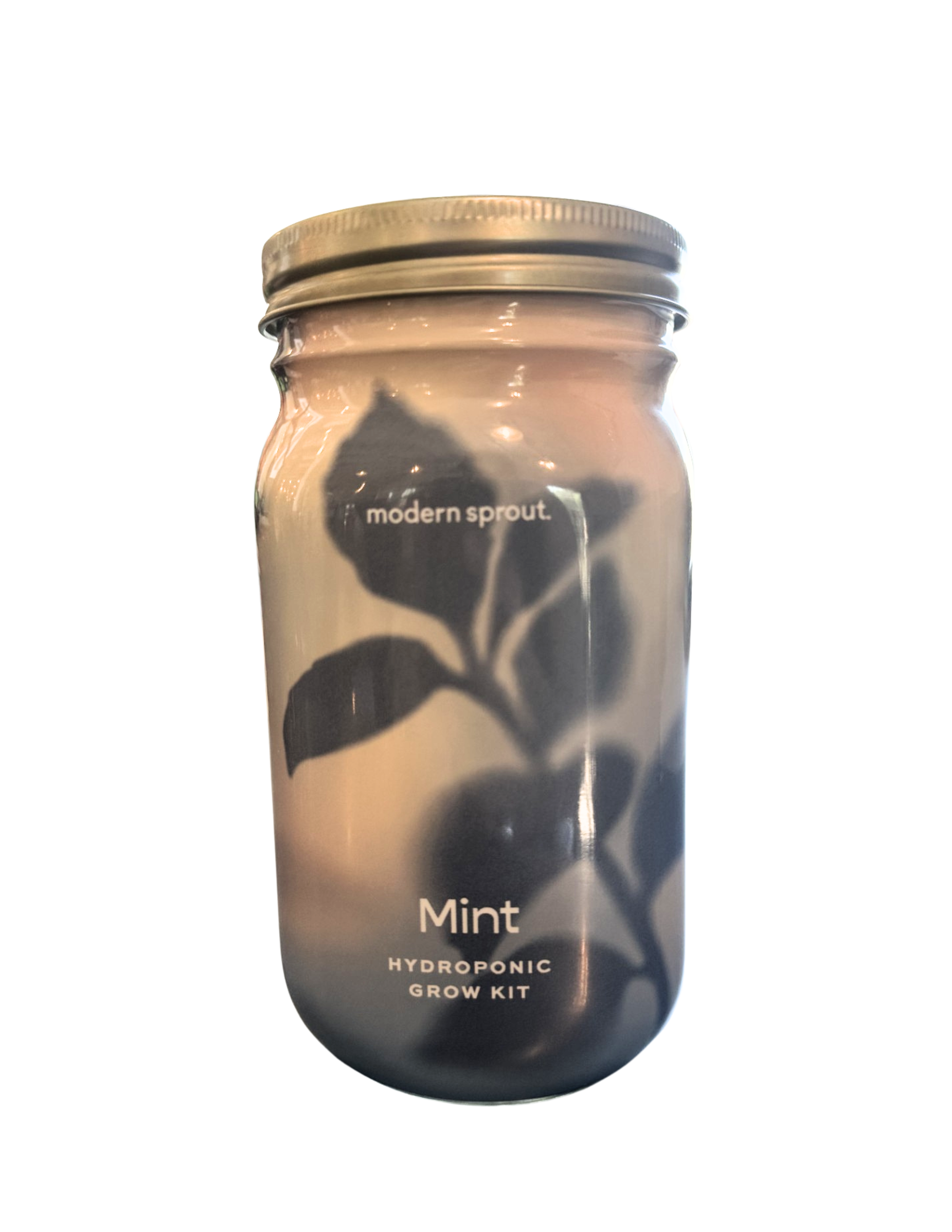 Mint Hydroponic Grow Kit