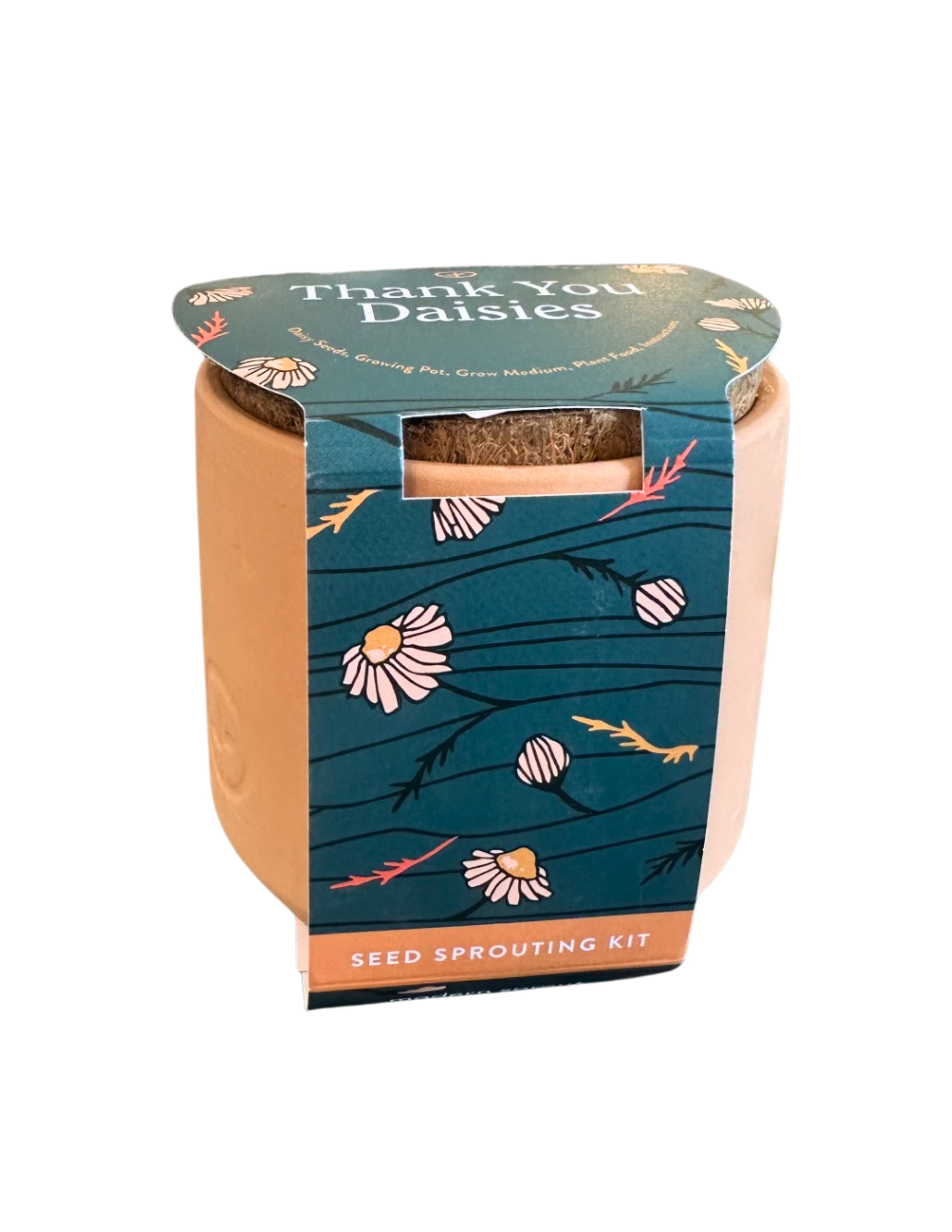 Thank You Daisies Seed Sprouting Kit