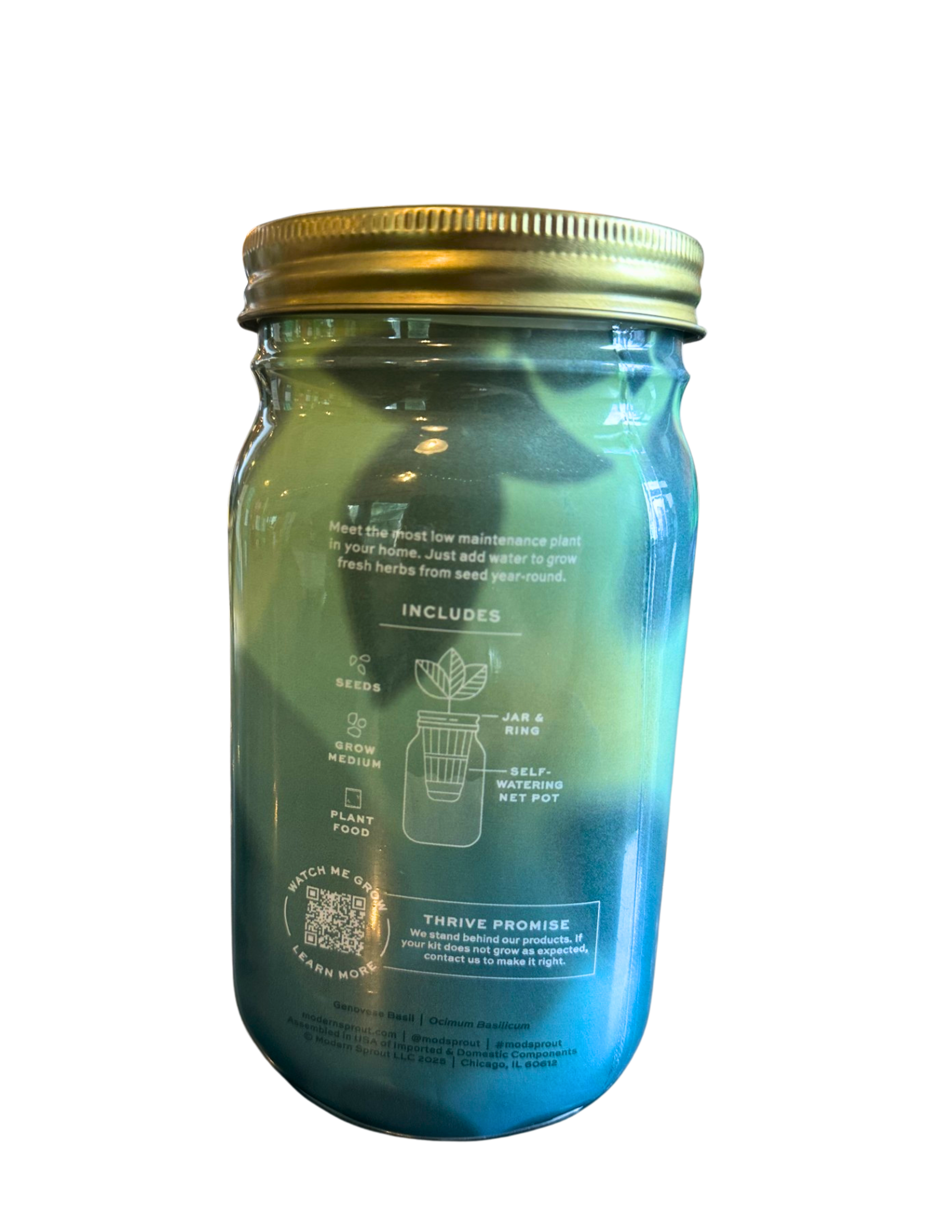 Basil Hydroponic Grow Kit