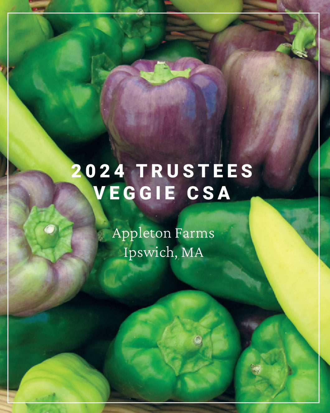 2024 Trustees Veggie CSA - Appleton Farm