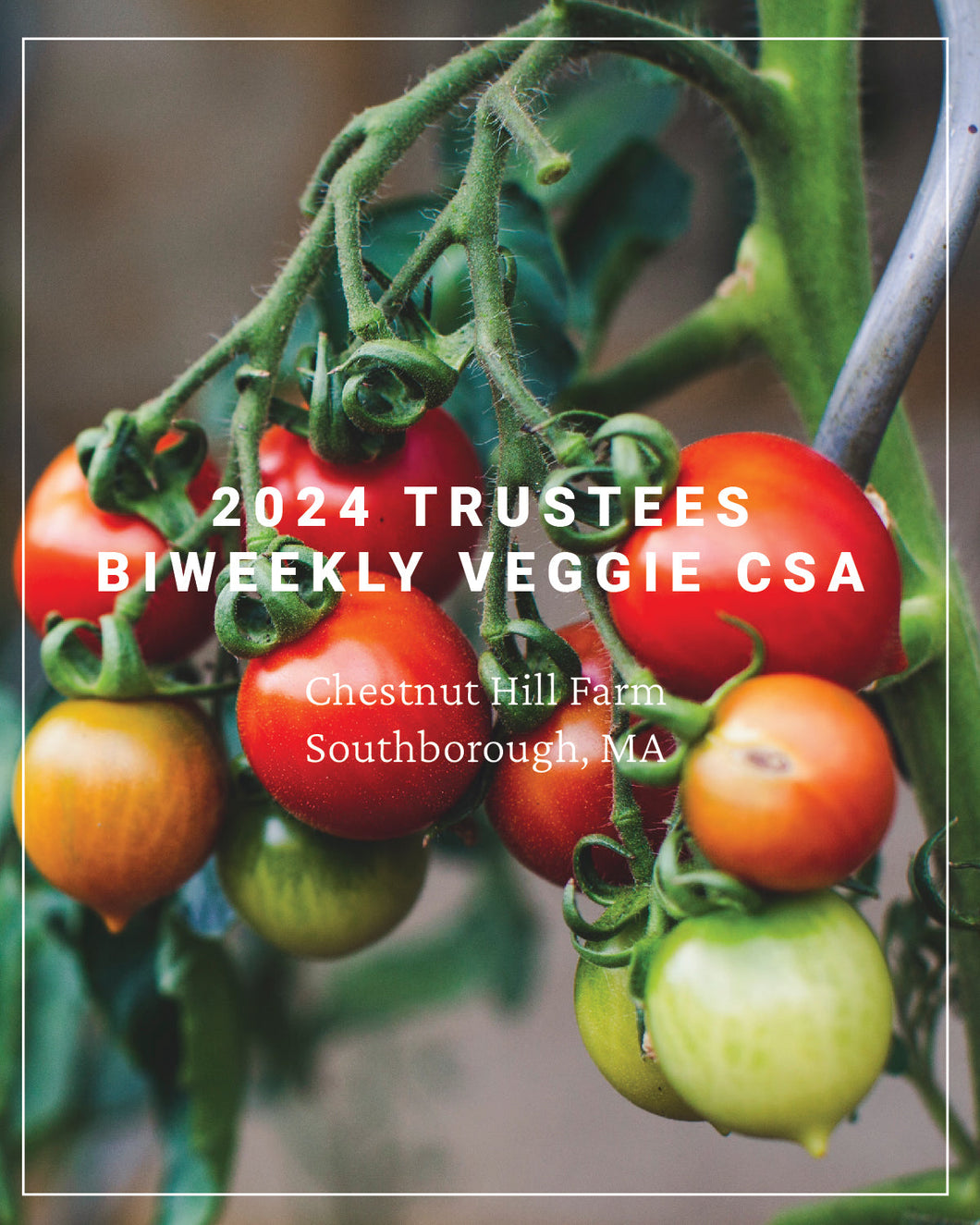 2024 Trustees Veggie CSA Split Payments, Bi-Weekly CSA - Chestnut Hill Farm