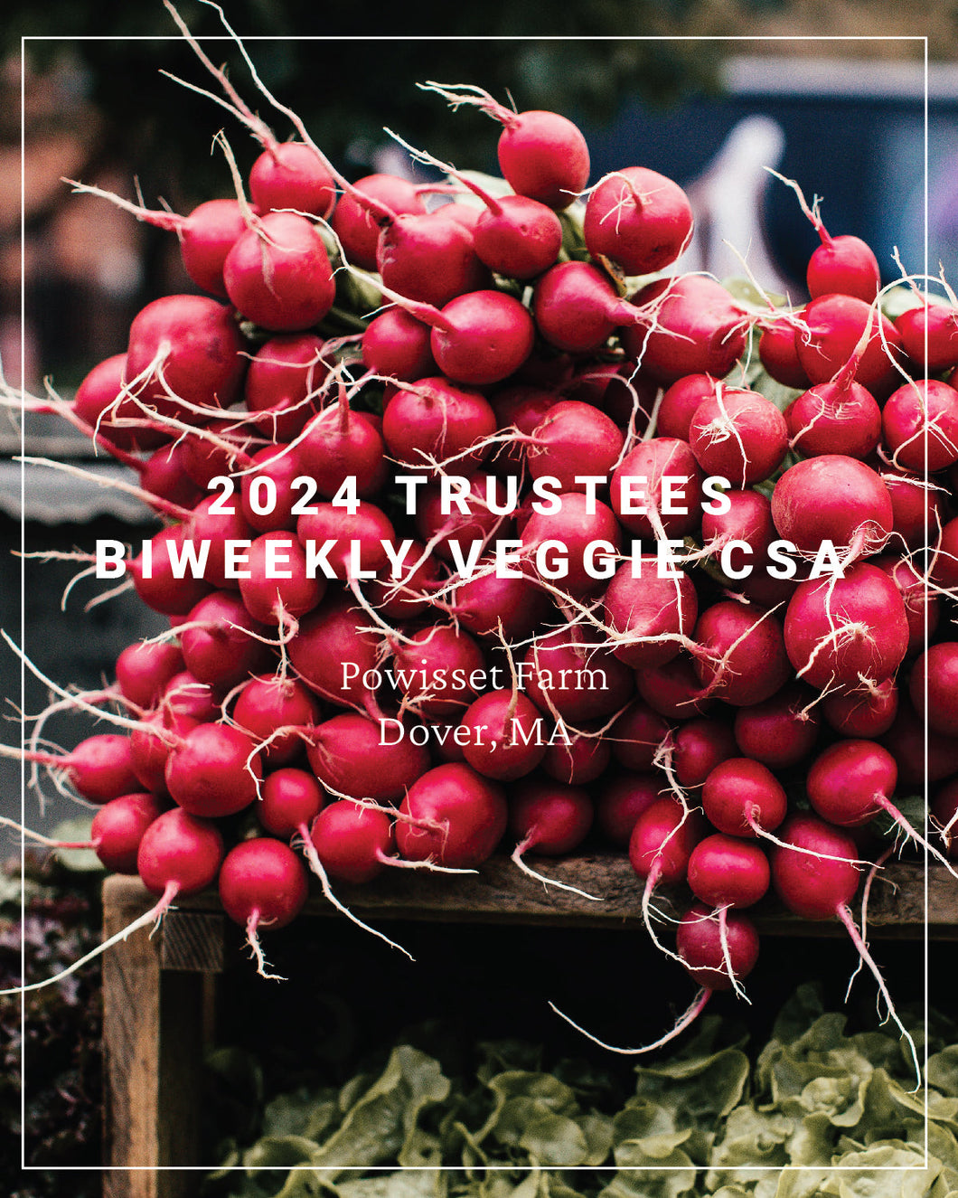 2024 Trustees Veggie CSA Split Payments, Bi-Weekly CSA - Powisset Farm
