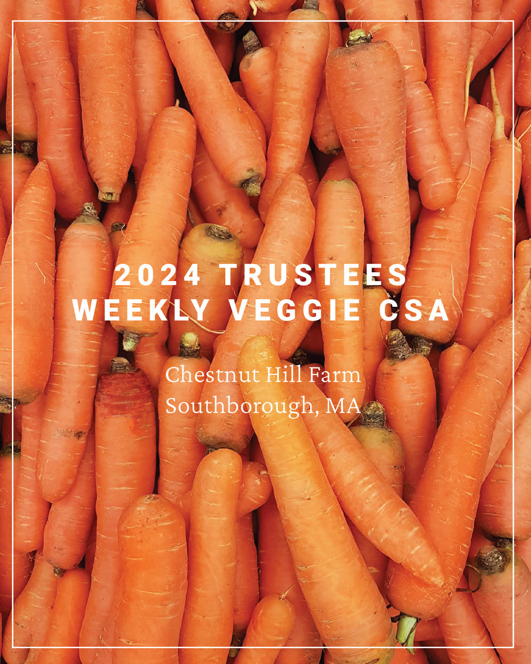 2024 Trustees Veggie CSA Split Payments, Weekly CSA - Chestnut Hill Farm