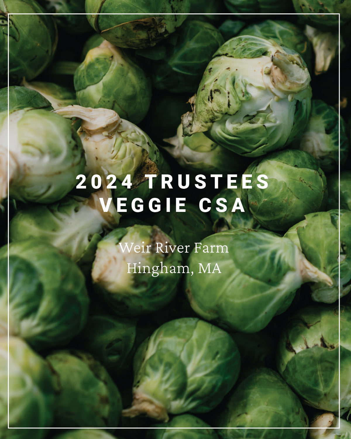 2024 Trustees Veggie CSA Split Payments - Weir River Farm