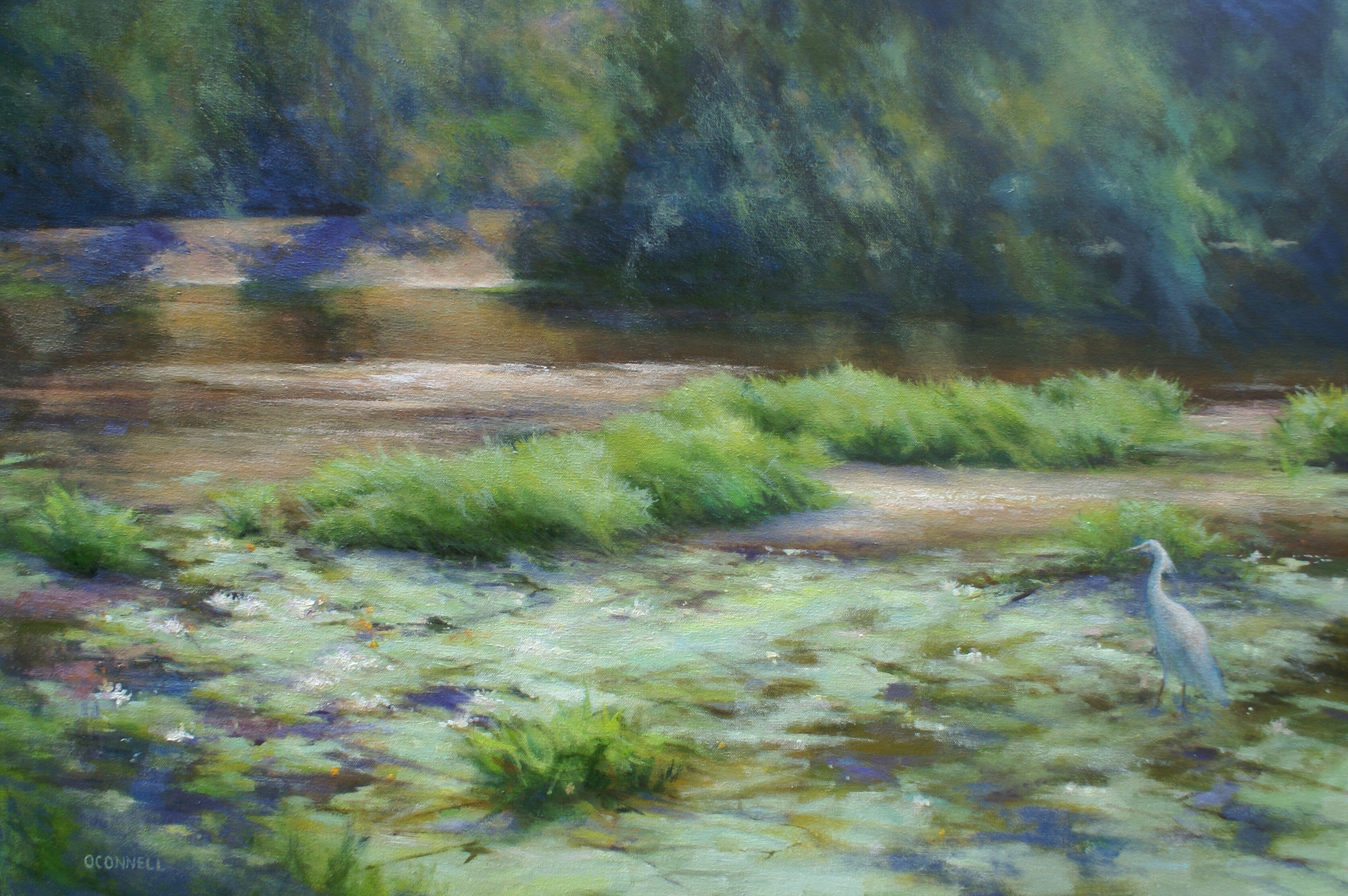 Mill Pond at Shawsheen River