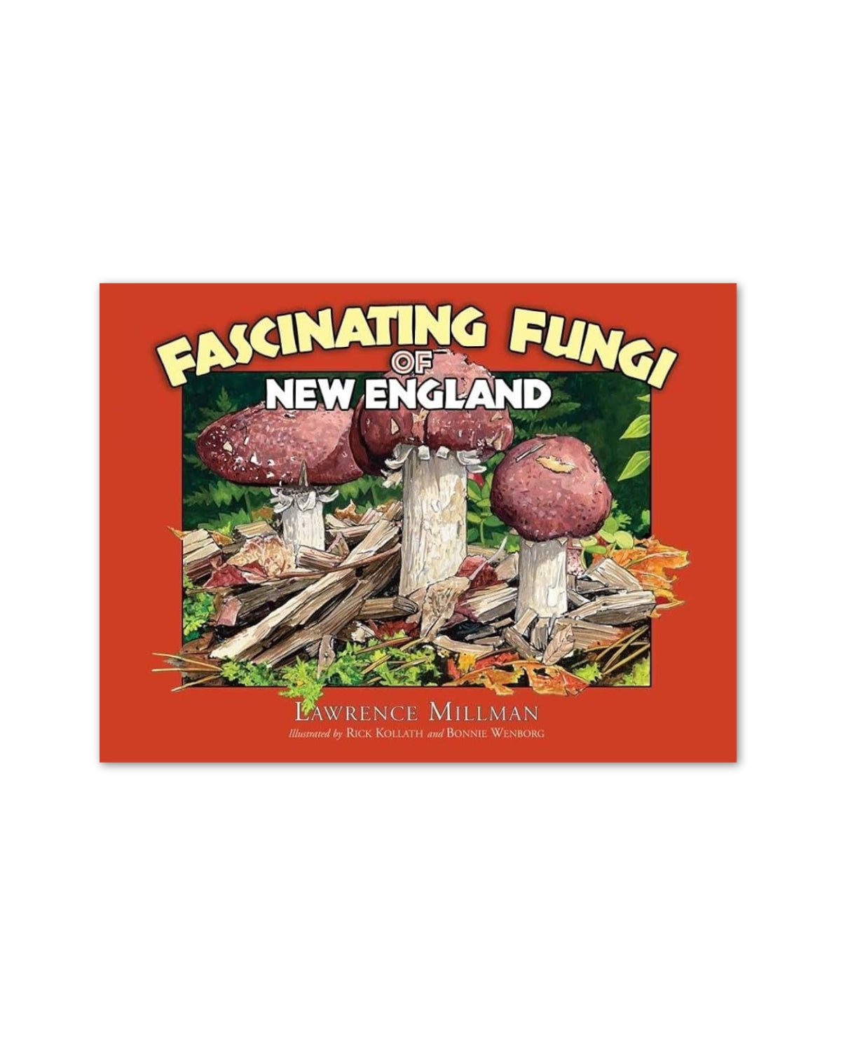 Fascinating Fungi of New England