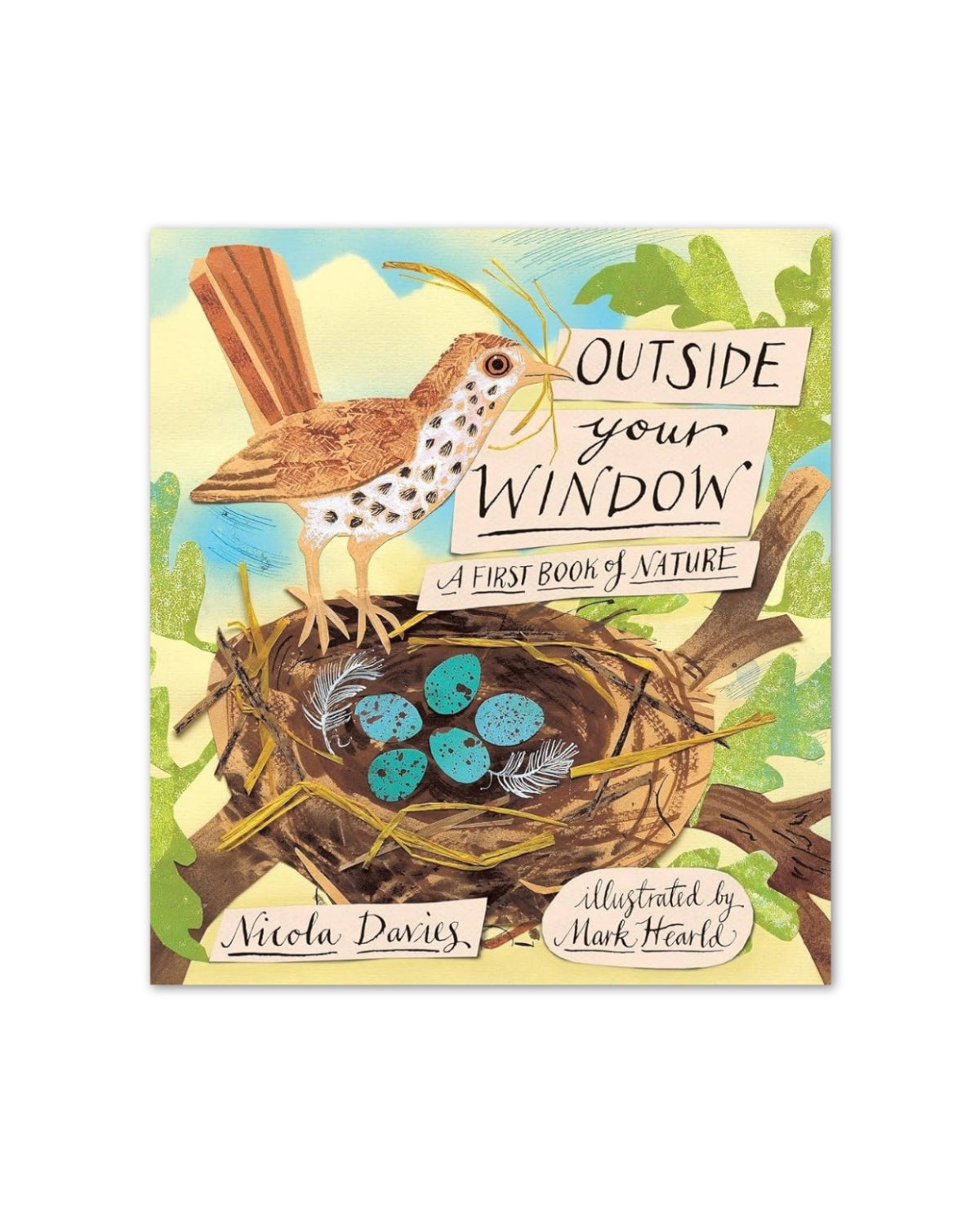 Outside Your Window: A First Book of Nature