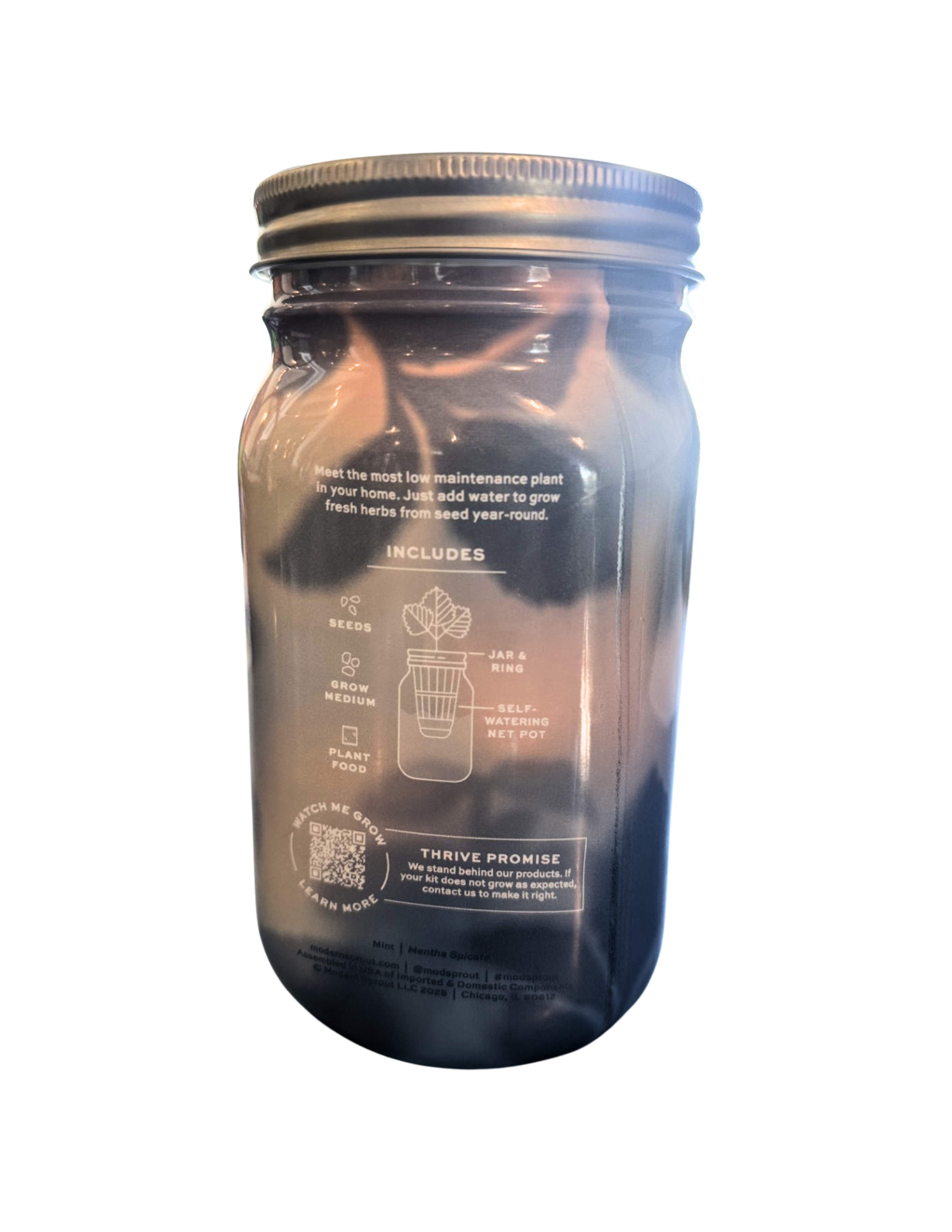 Mint Hydroponic Grow Kit