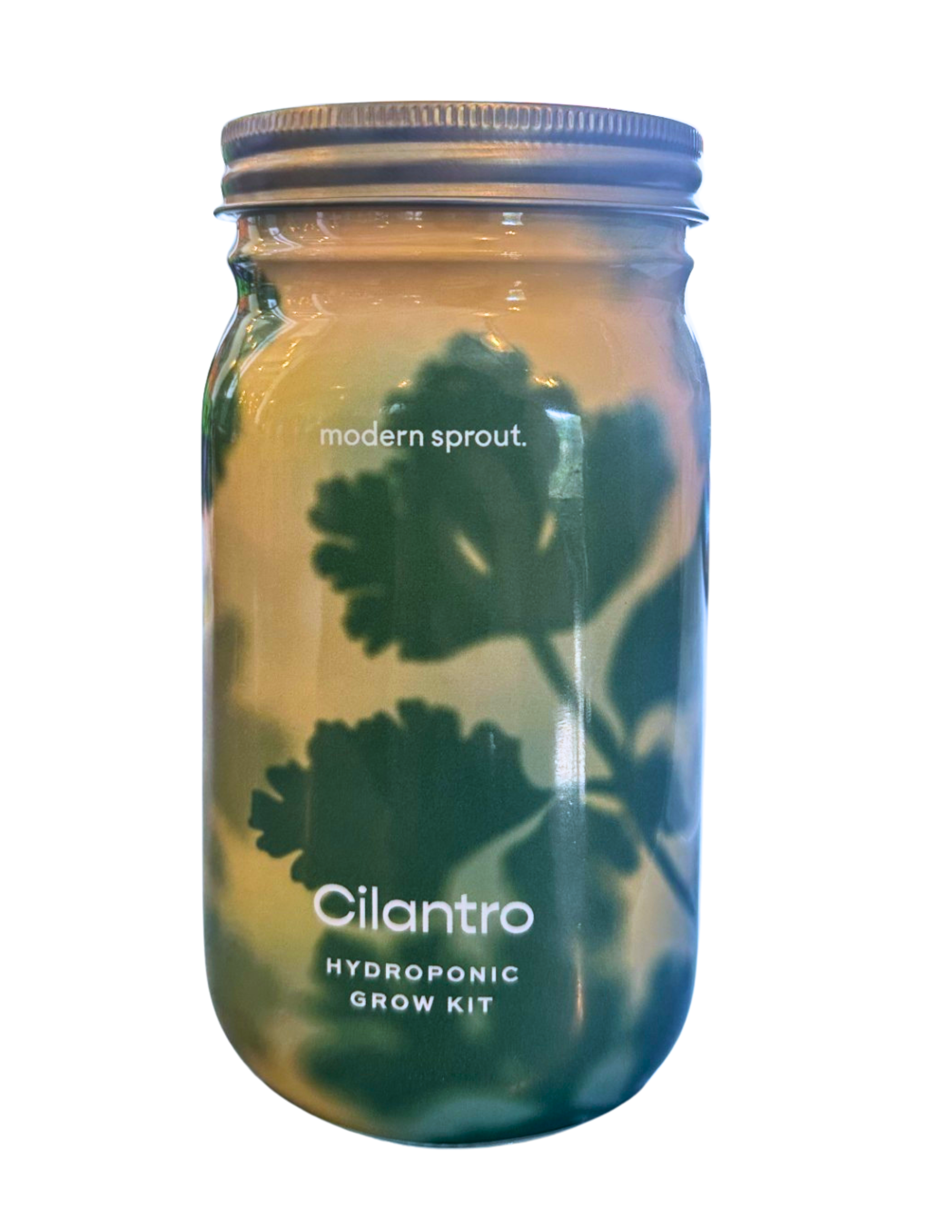 Cilantro Hydroponic Grow Kit