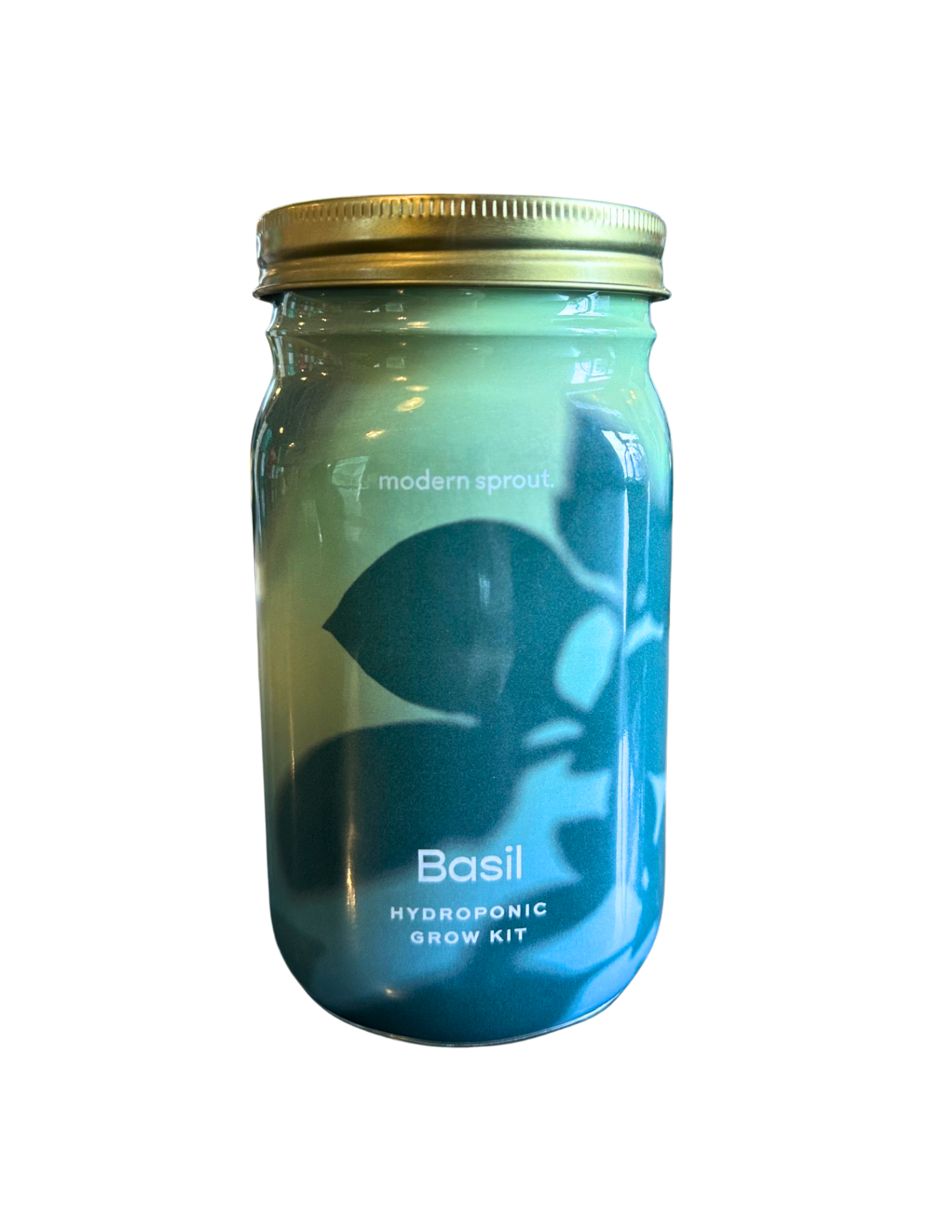 Basil Hydroponic Grow Kit