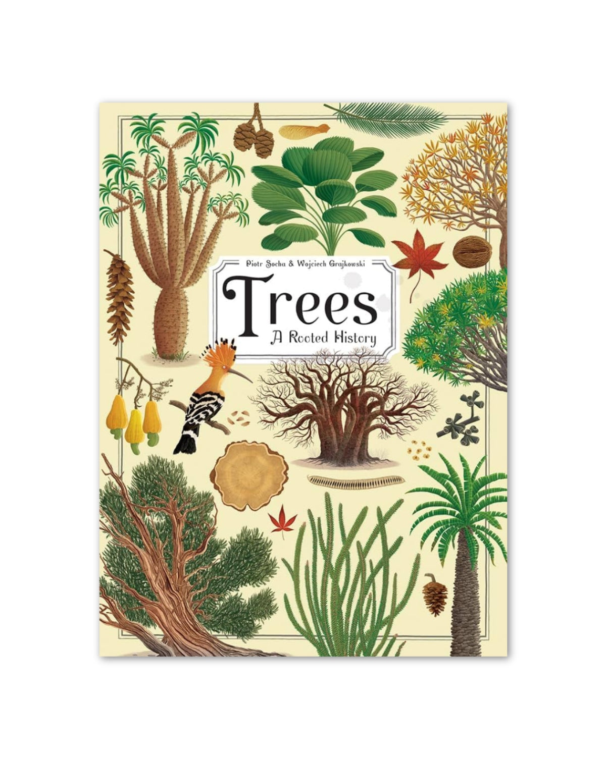 Trees: A Rooted History