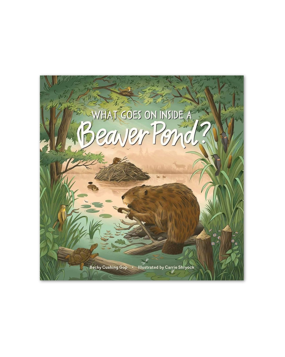 What Goes on Inside a Beaver Pond?