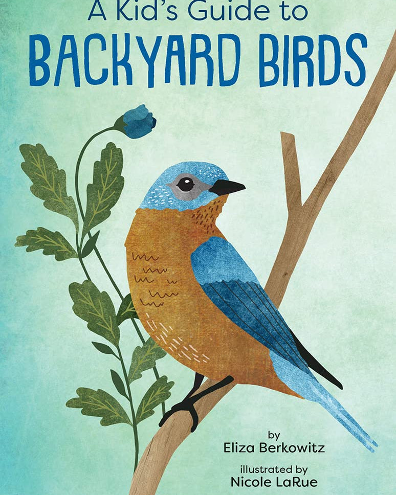 Kid’s Guide To Backyard Birds