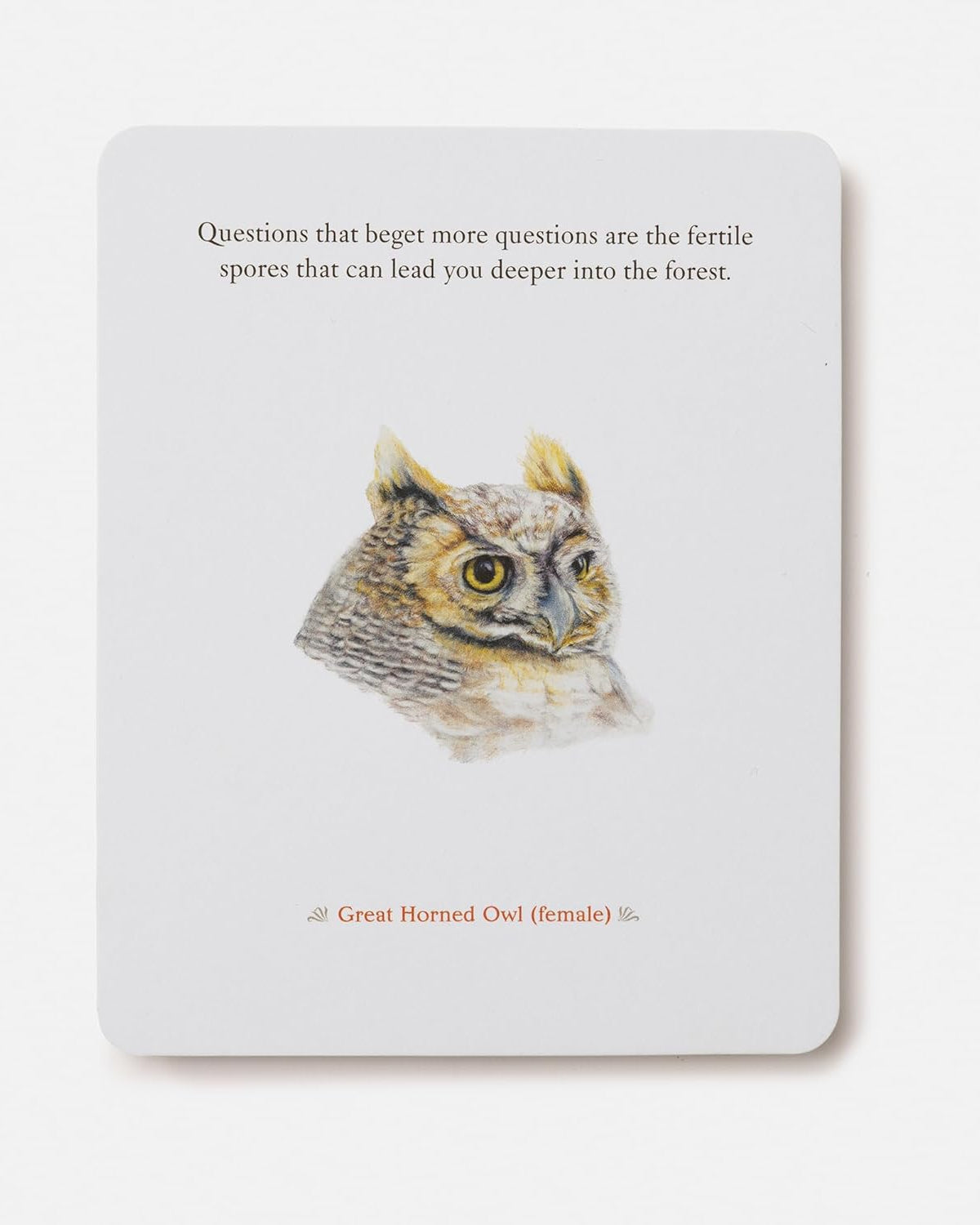 The Backyard Bird Deck: Affirmations and Reflections for Living Deeply in Nature: Affirmation Cards