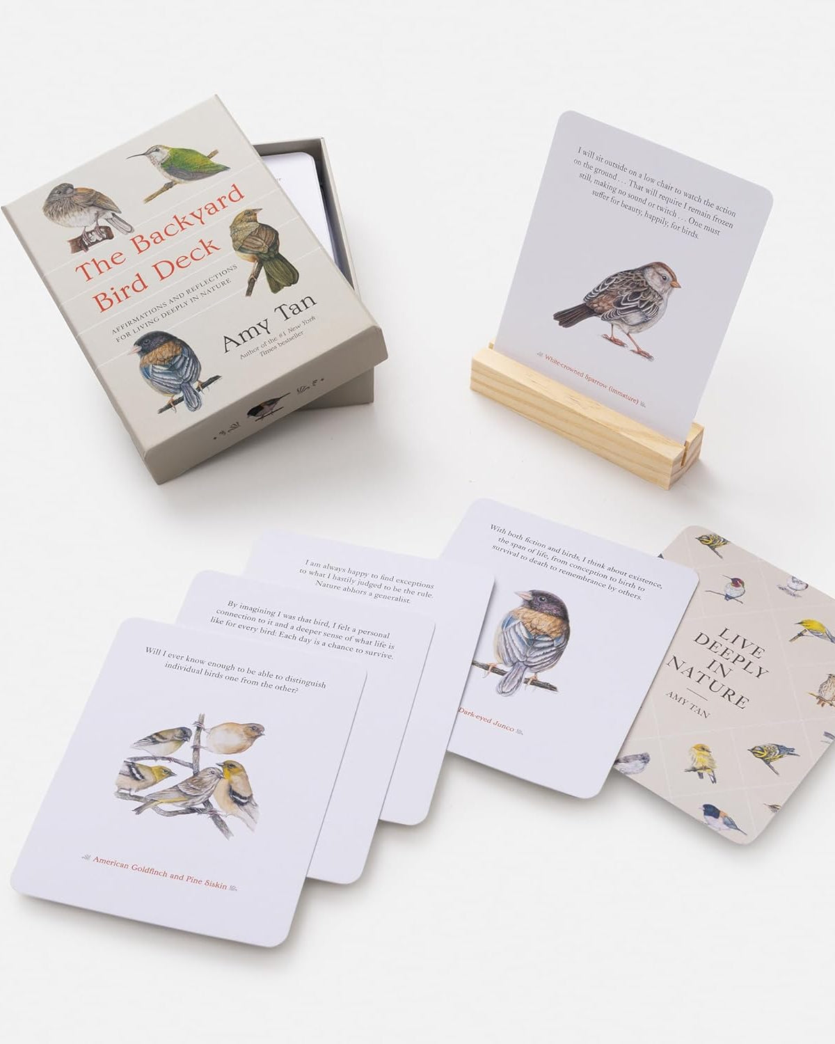 The Backyard Bird Deck: Affirmations and Reflections for Living Deeply in Nature: Affirmation Cards
