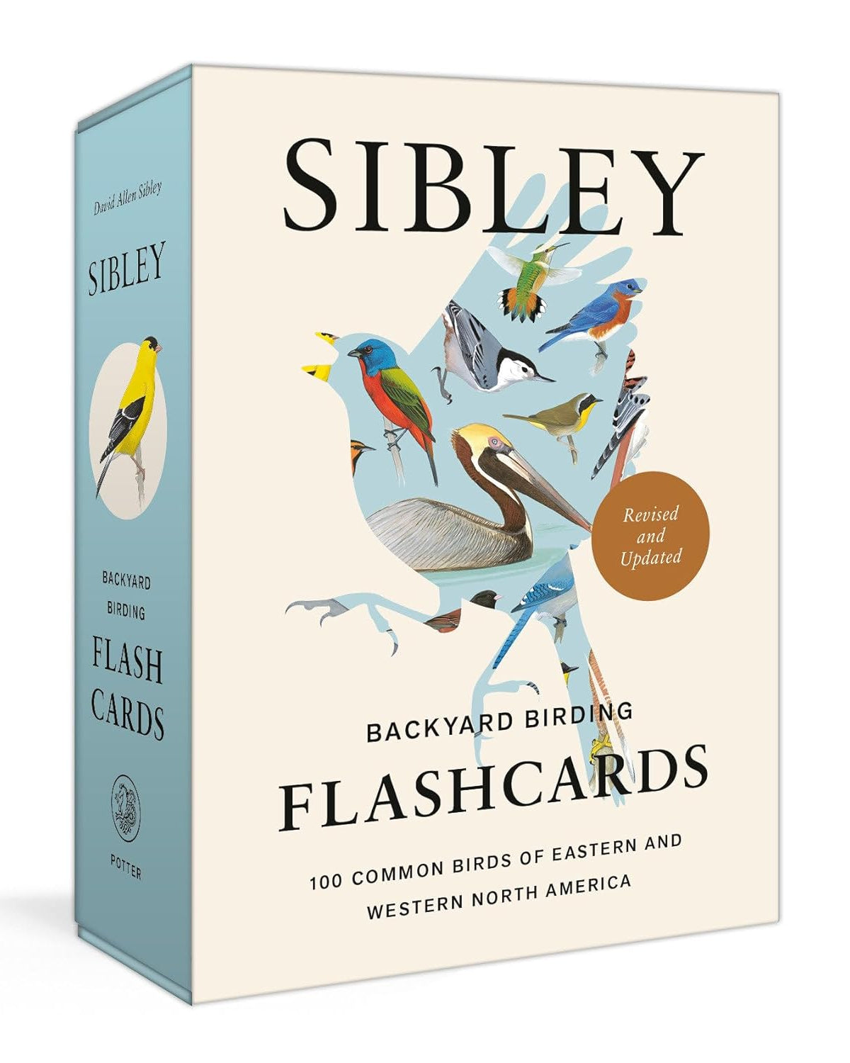 Sibley Backyard Birding Flashcards, Revised and Updated: 100 Common Birds of Eastern and Western North America (Sibley Birds)