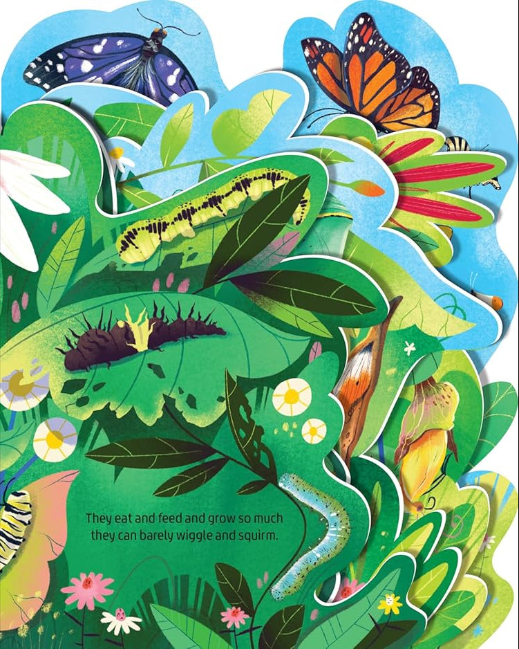 Beautiful Butterflies - Board book