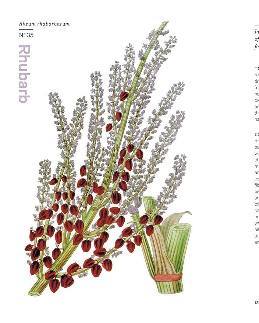 Herbal Handbook: 50 Profiles in Words and Art from the Rare Book Collections of The New York Botanical Garden