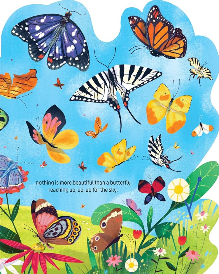 Beautiful Butterflies - Board book