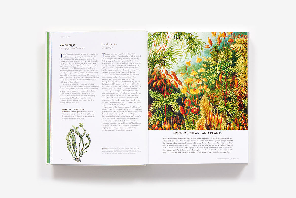 The Botanical Bible