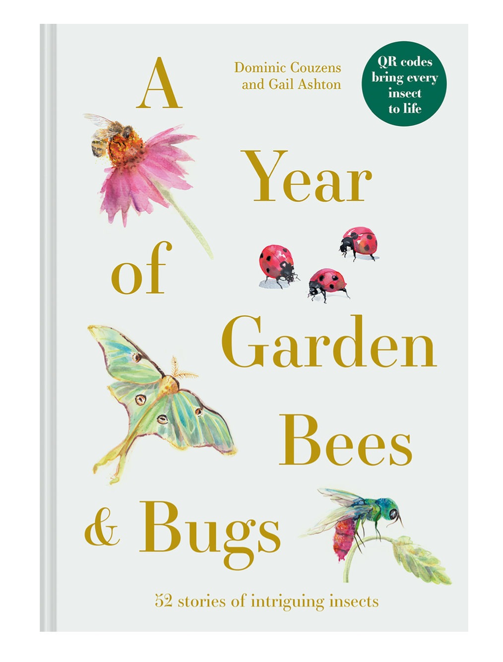 A Year of Garden Bees and Bugs