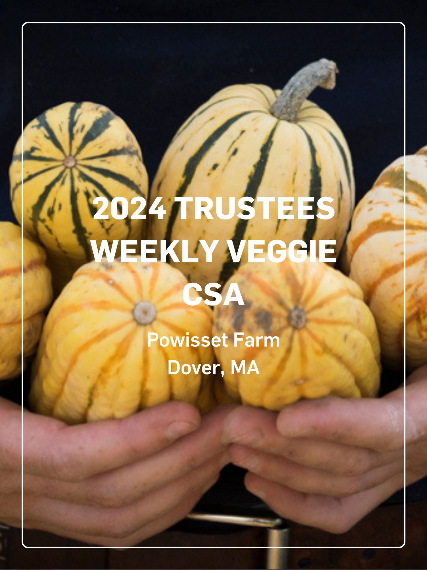 2024 Trustees Veggie CSA - Powisset Farm, Weekly CSA