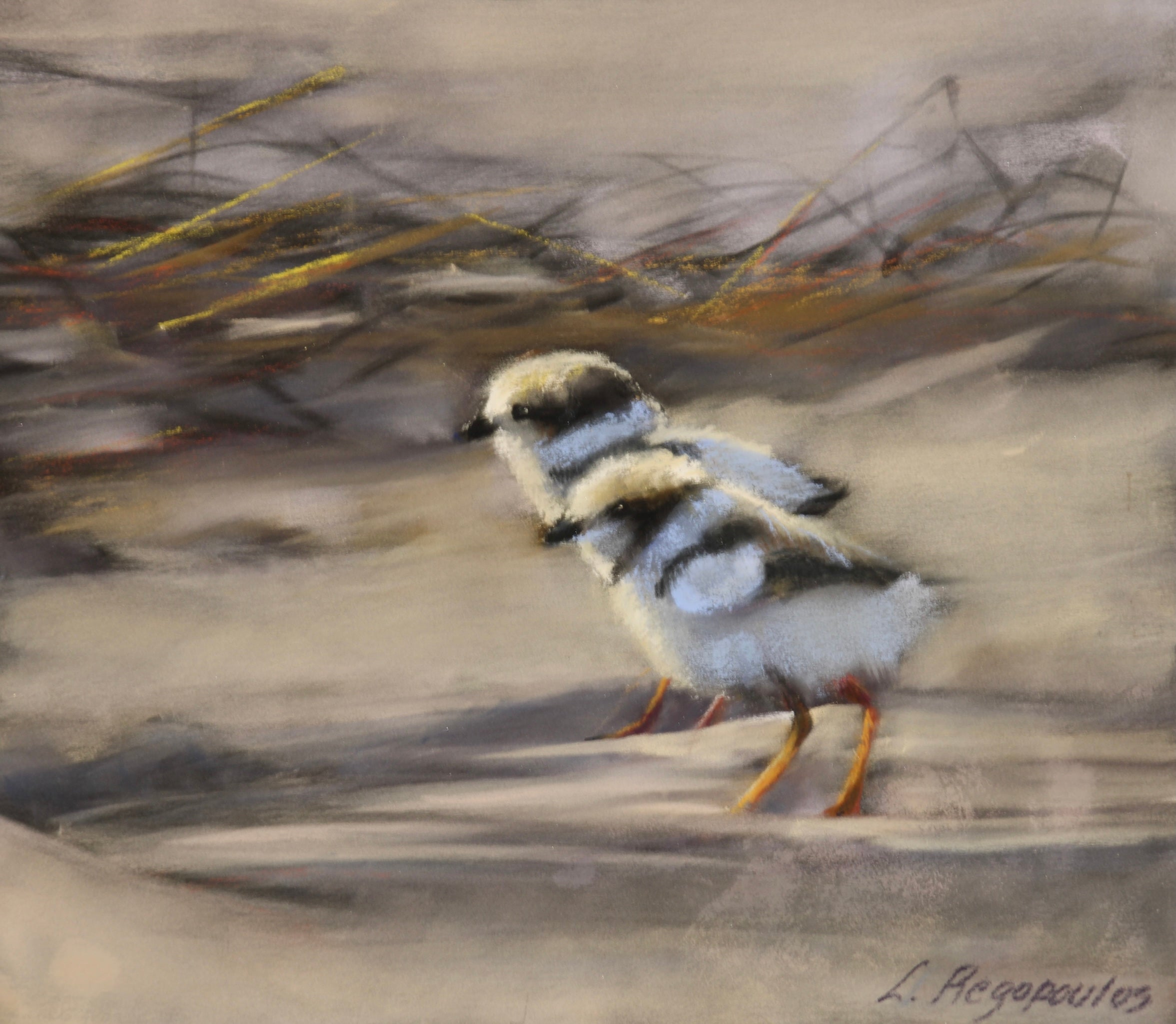 Coastal Kin