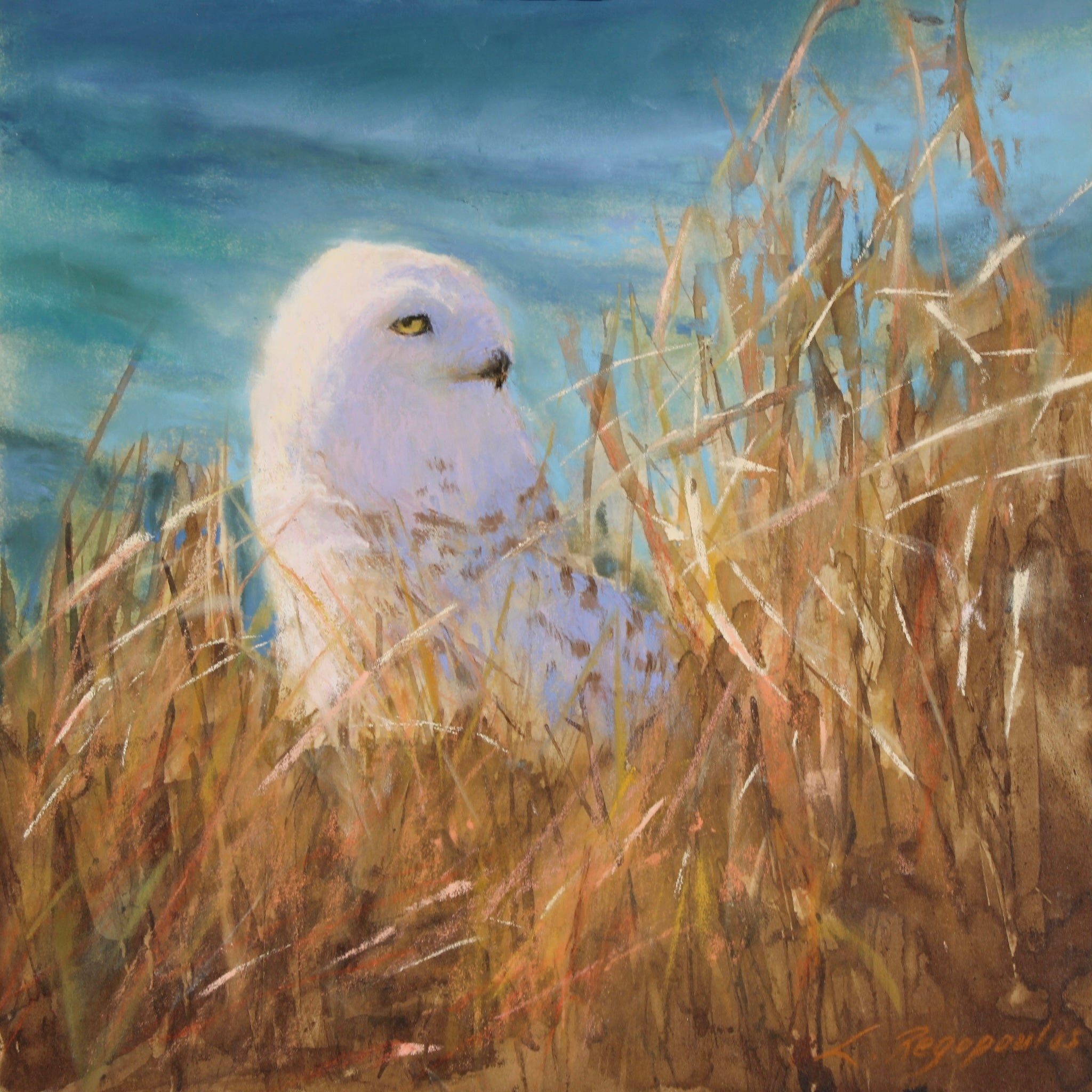 Eyes of the Tundra