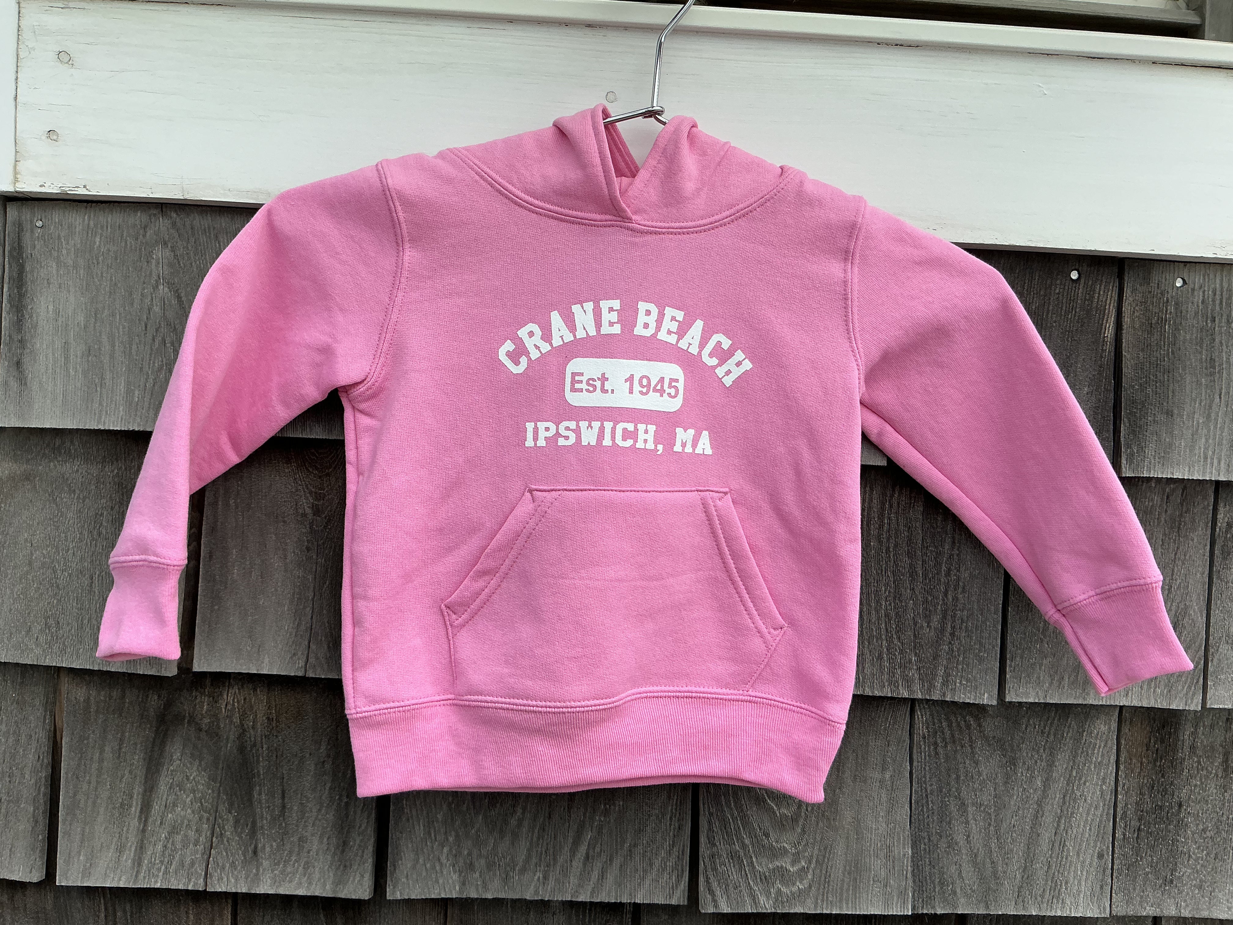 Crane Beach Toddler Hoodie