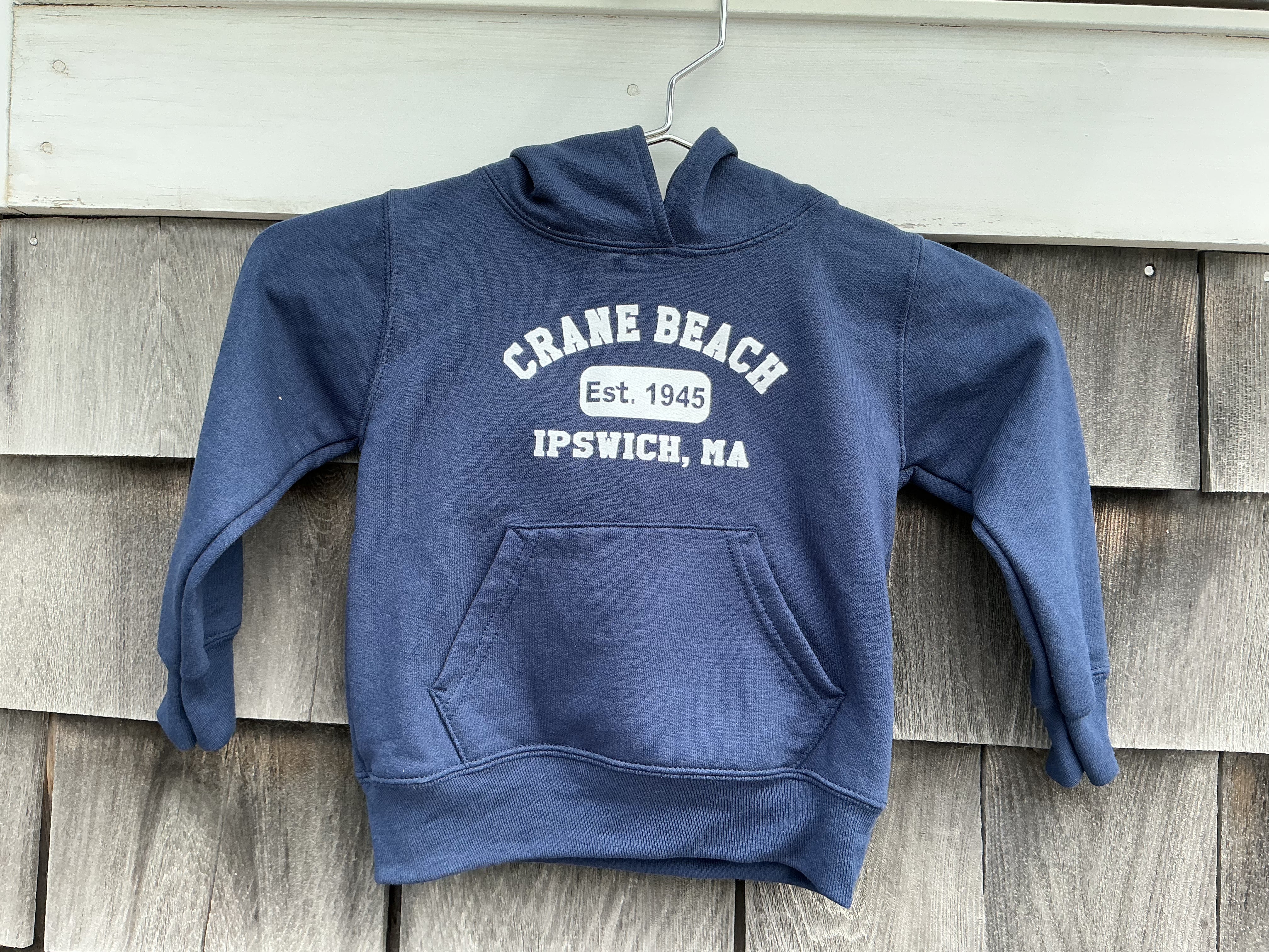 Crane Beach Toddler Hoodie
