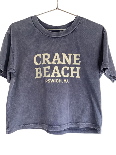 Chicka-d Crane Beach Cropped T-shirt