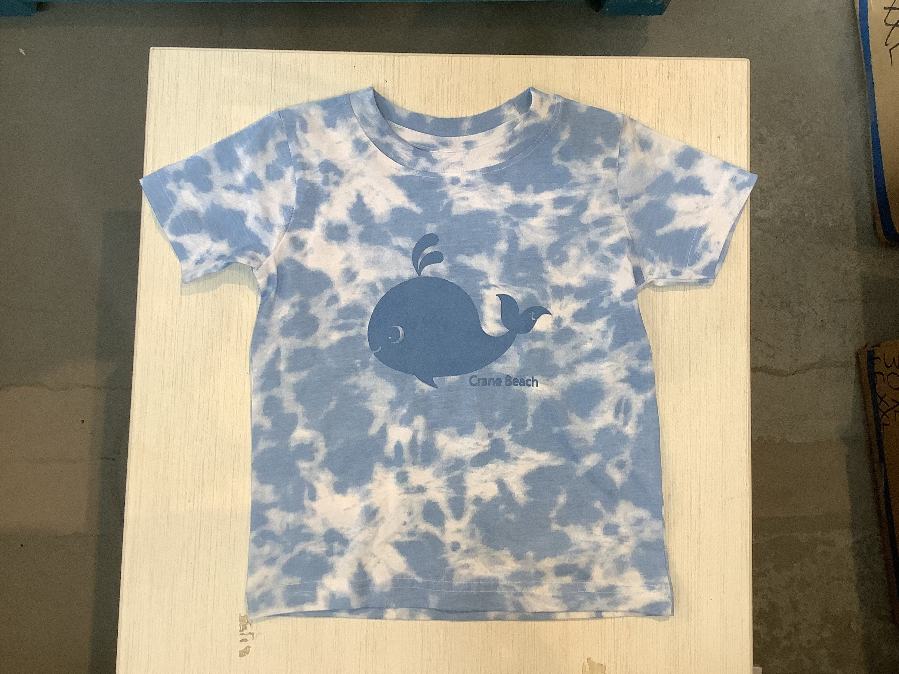 Crane Beach Toddler T-Shirt